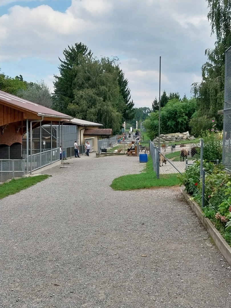 Plätli zoo Frauenfeld - General view