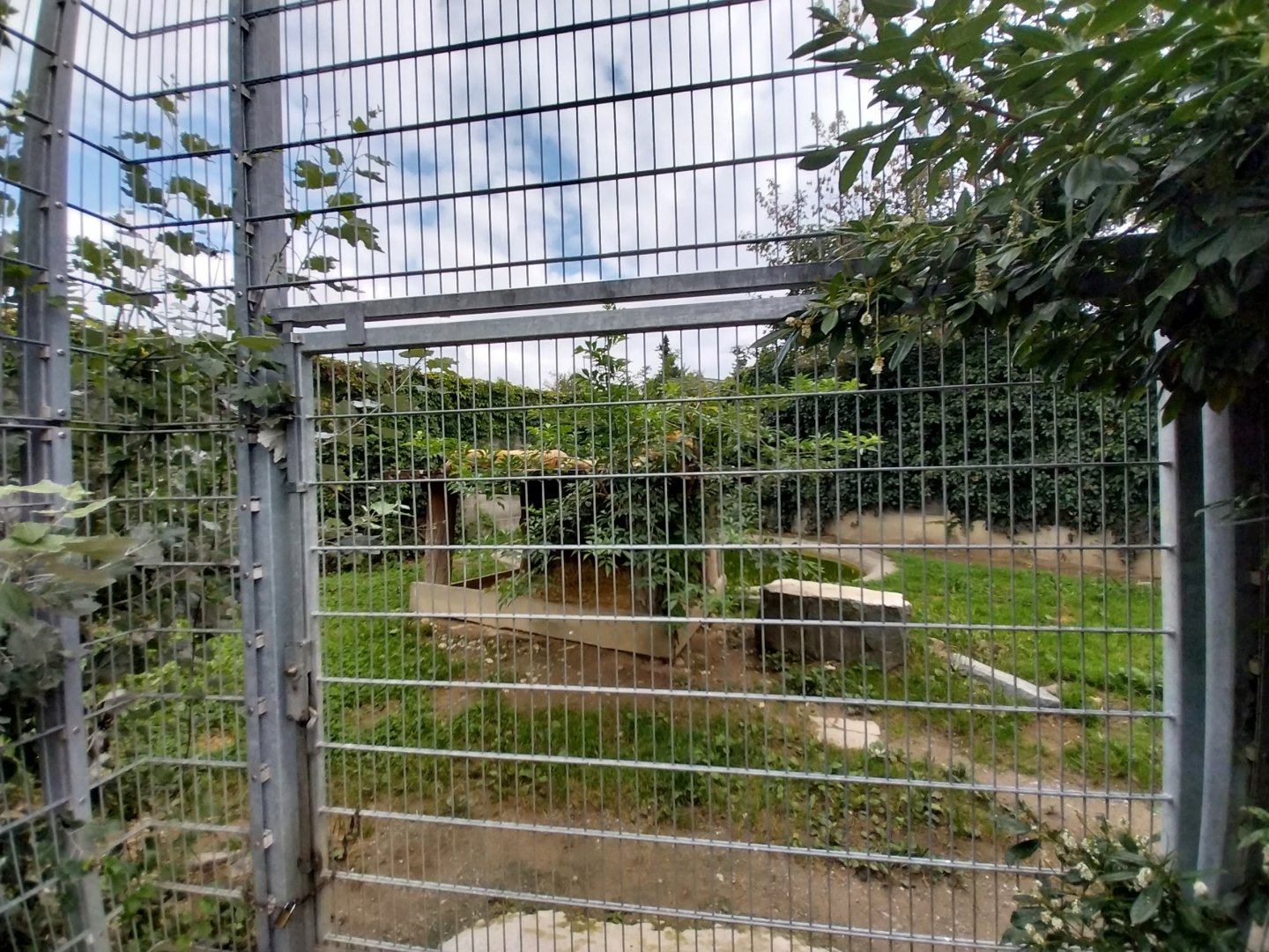 Plätli zoo Frauenfeld - Lion enclosure