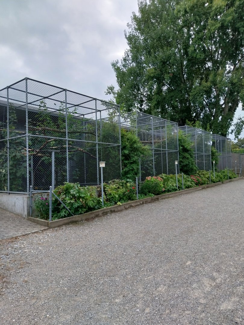 Plätli zoo Frauenfeld - Macaw aviaries