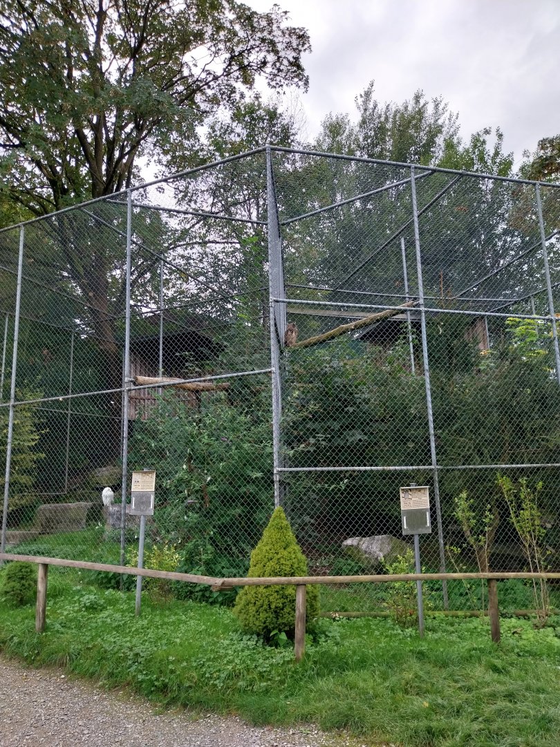 Plätli zoo Frauenfeld - Snowy owl and European eagle-owl aviaries