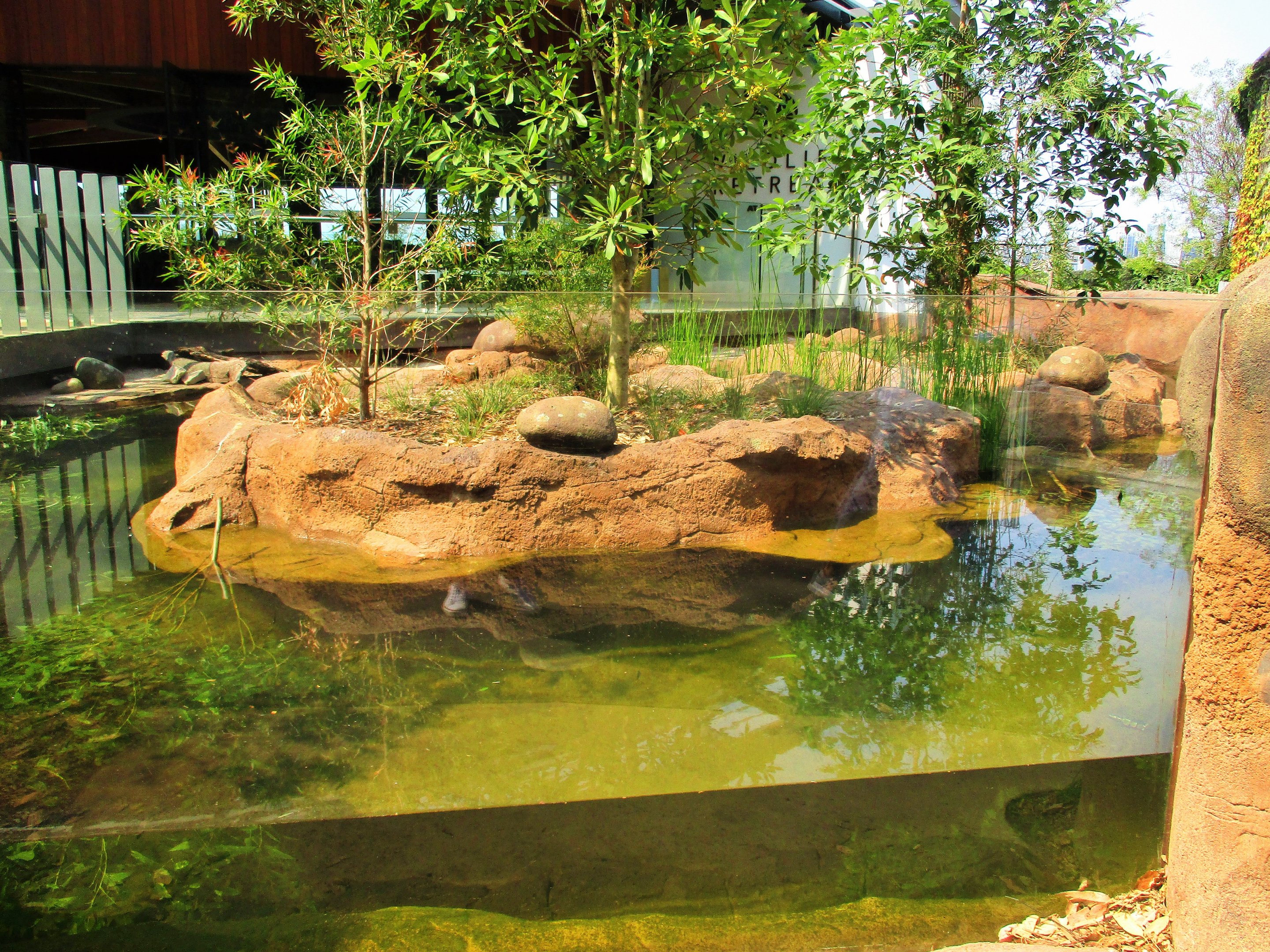 Platypus Enclosure