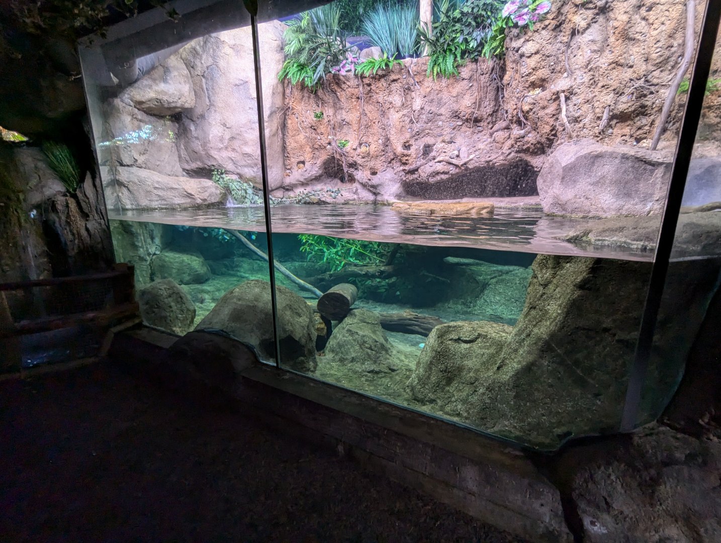 Platypus Enclosure