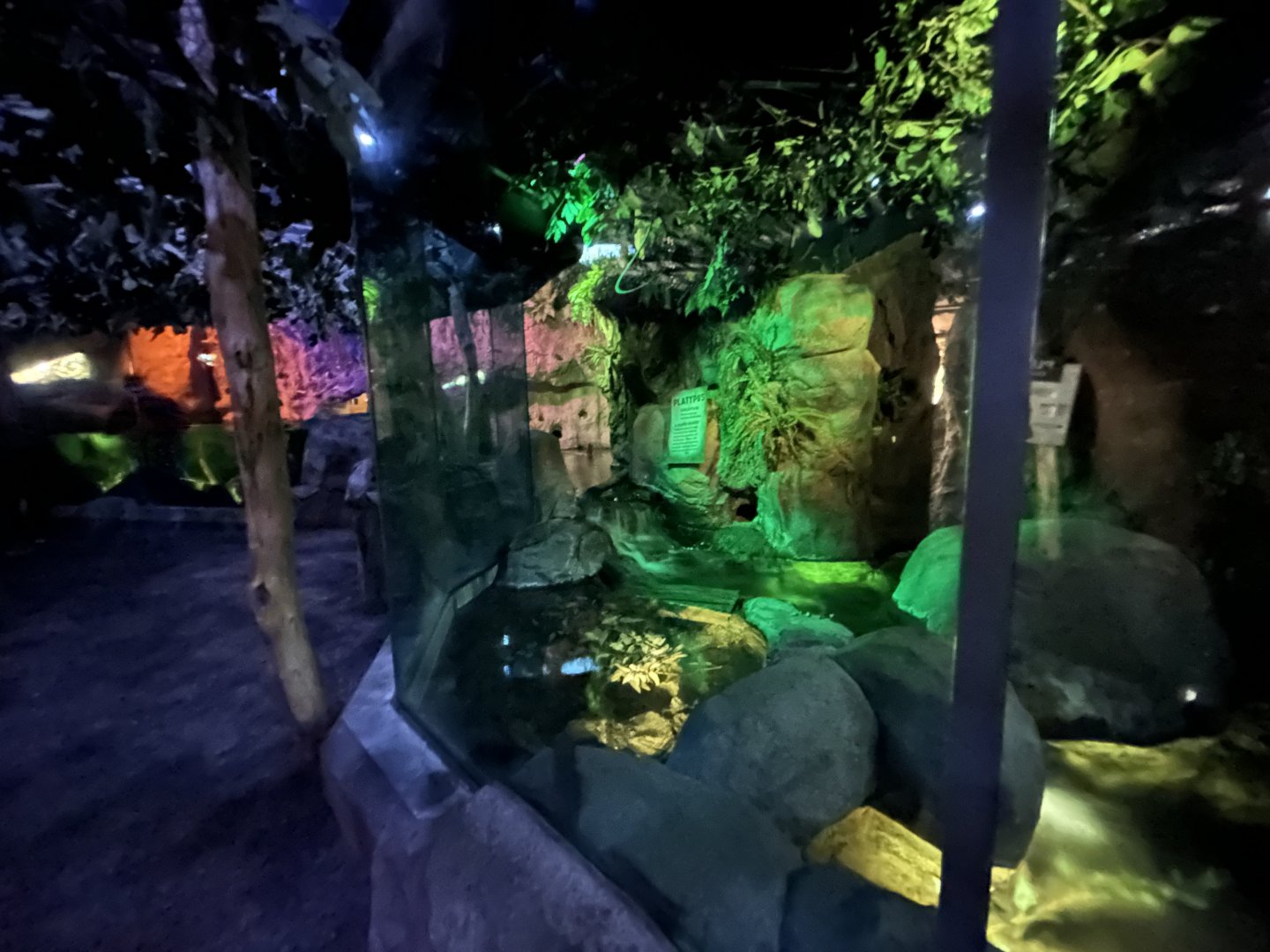 Platypus Exhibit - Walkabout Australia