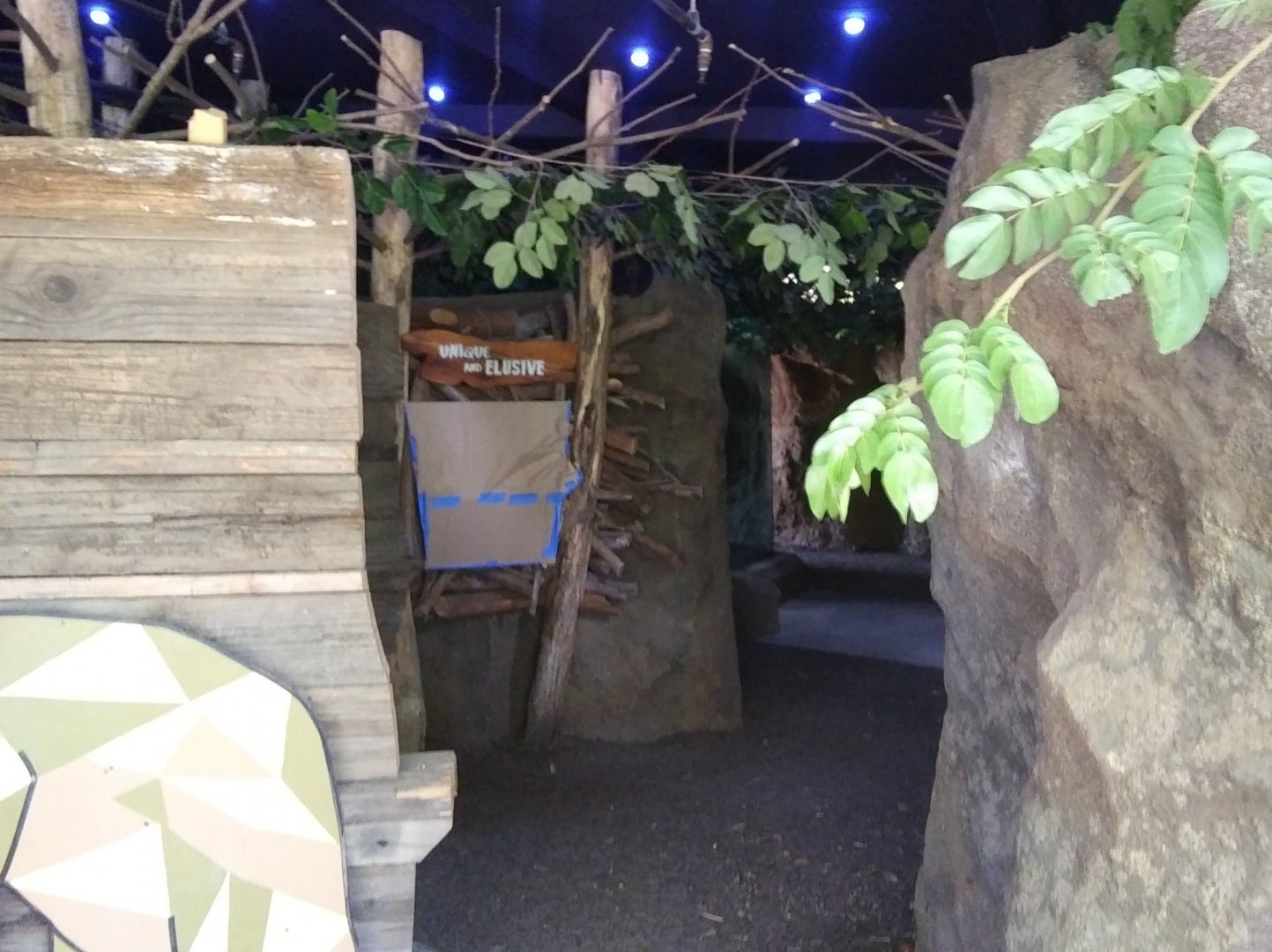 Platypus exhibit