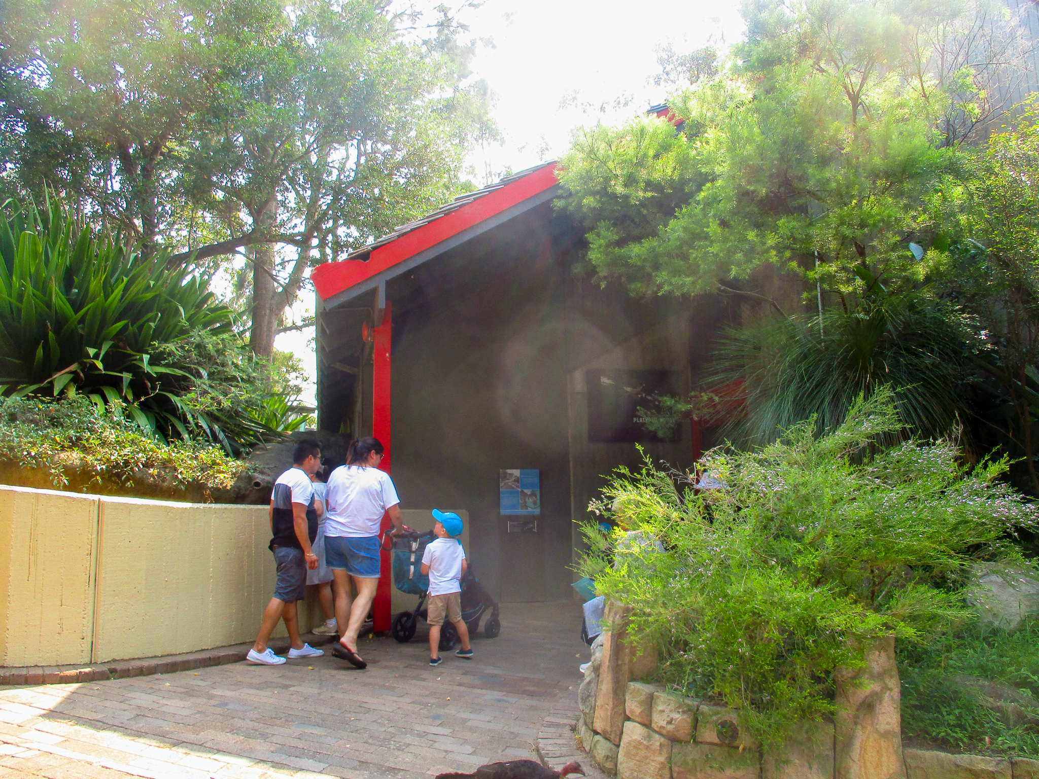 Platypus House - December 2019