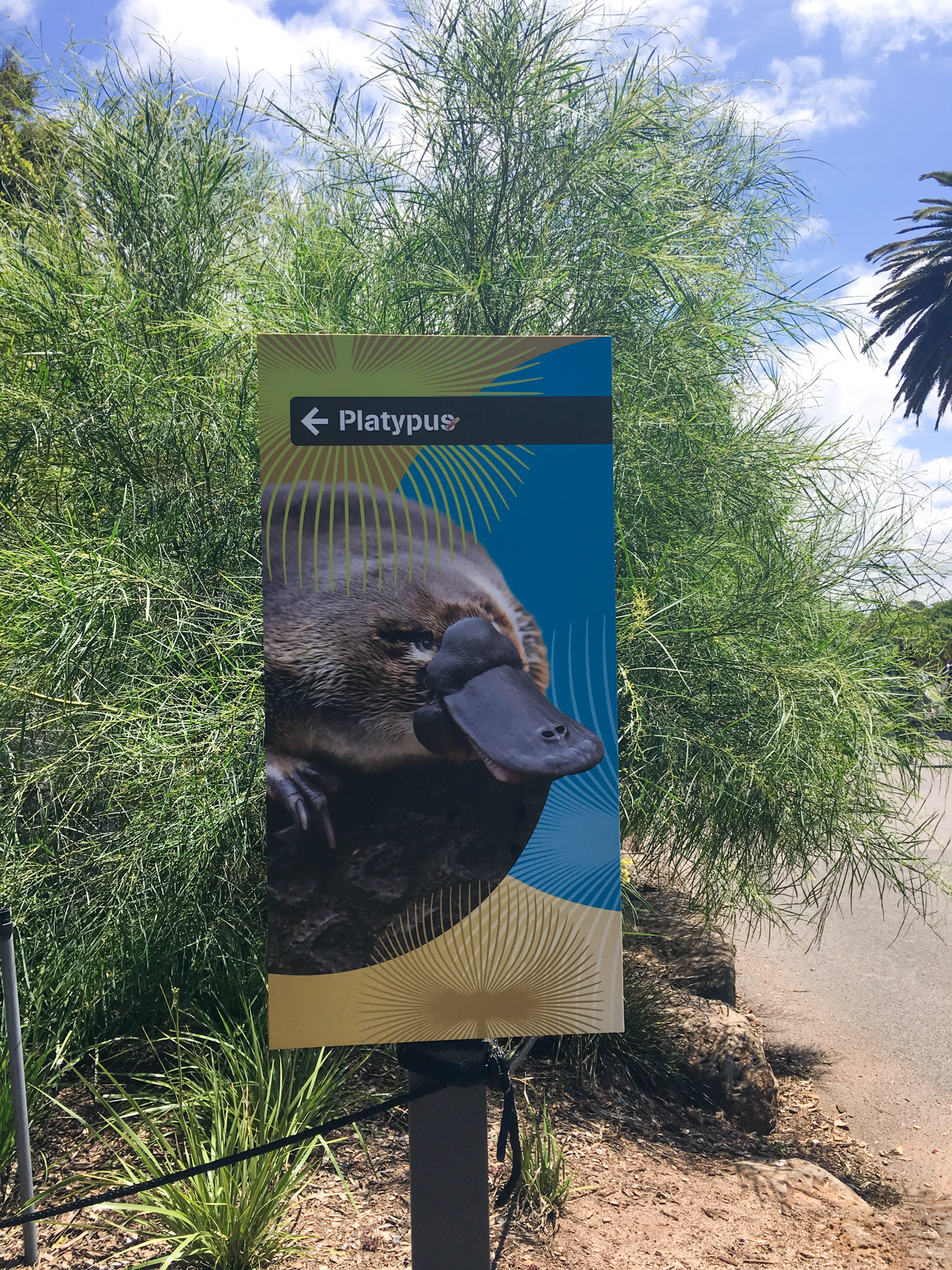 Platypus Sign - December 2018