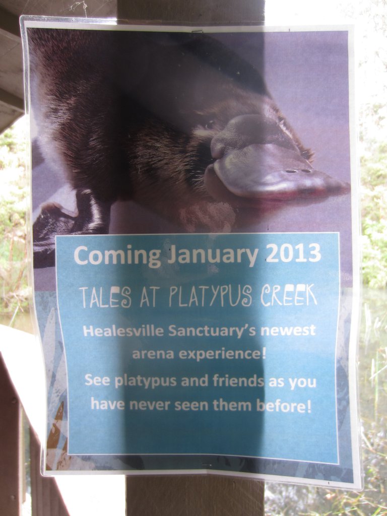 Platypus signage