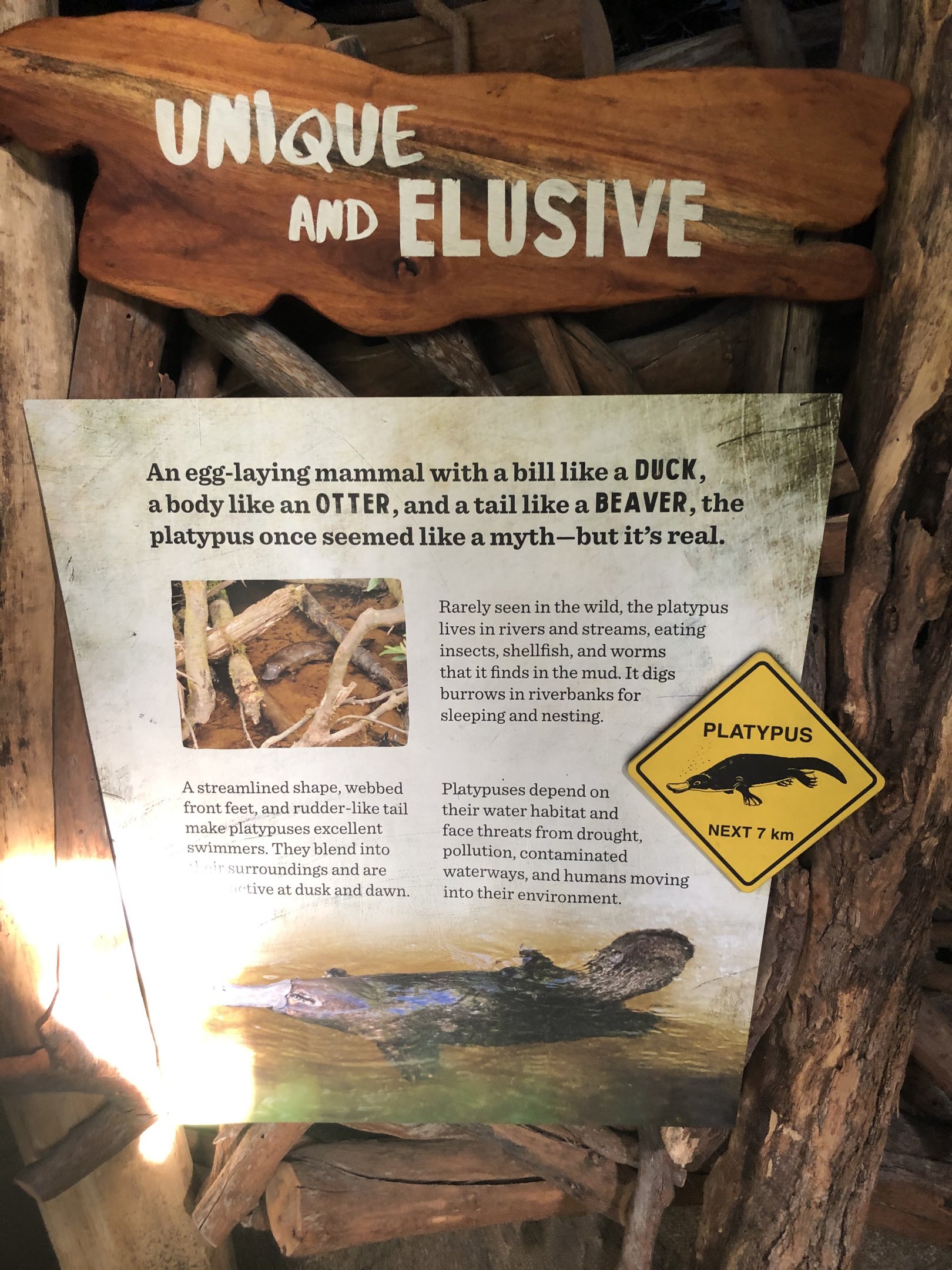 Platypus signage