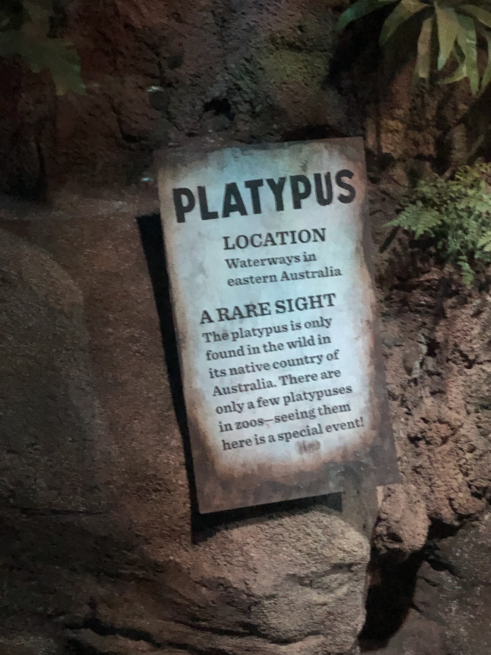 Platypus signage