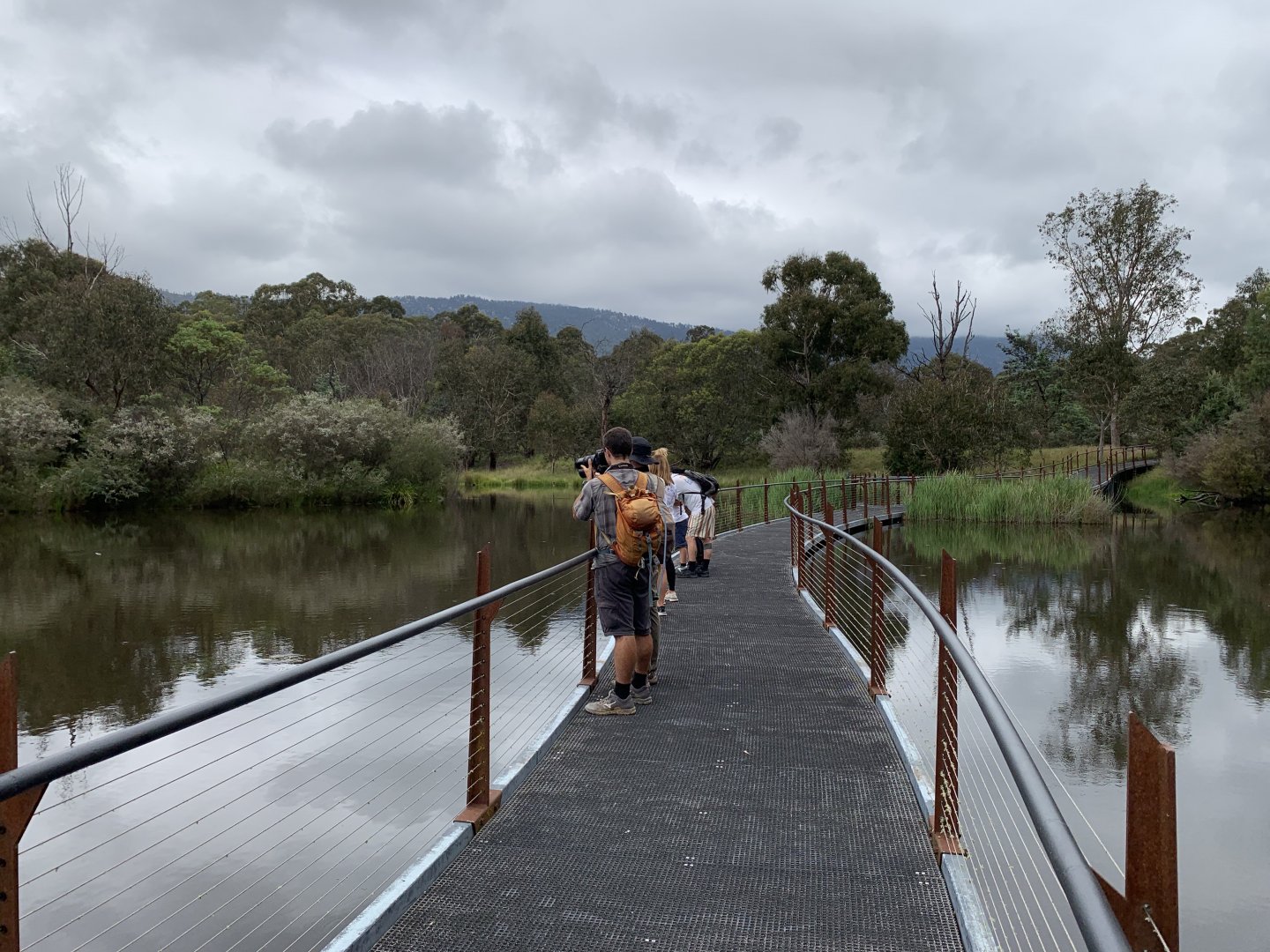 Platypus Watching - Tidbinbilla