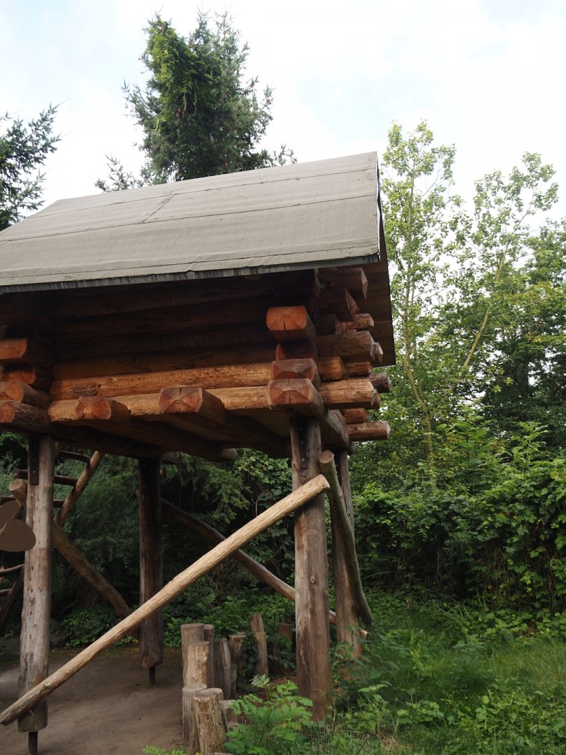 Play and viewing hut for children near the Eurasian lynx exhibit, 2024-08-05