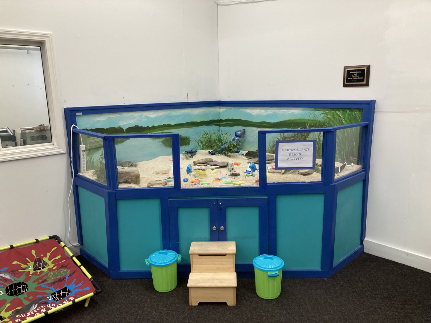 Play area (former Eastern Box Turtle exhibit)