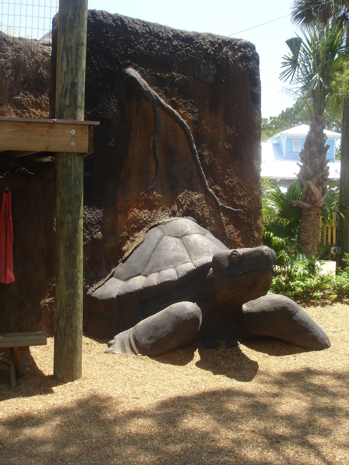 play area - gopher tortoise