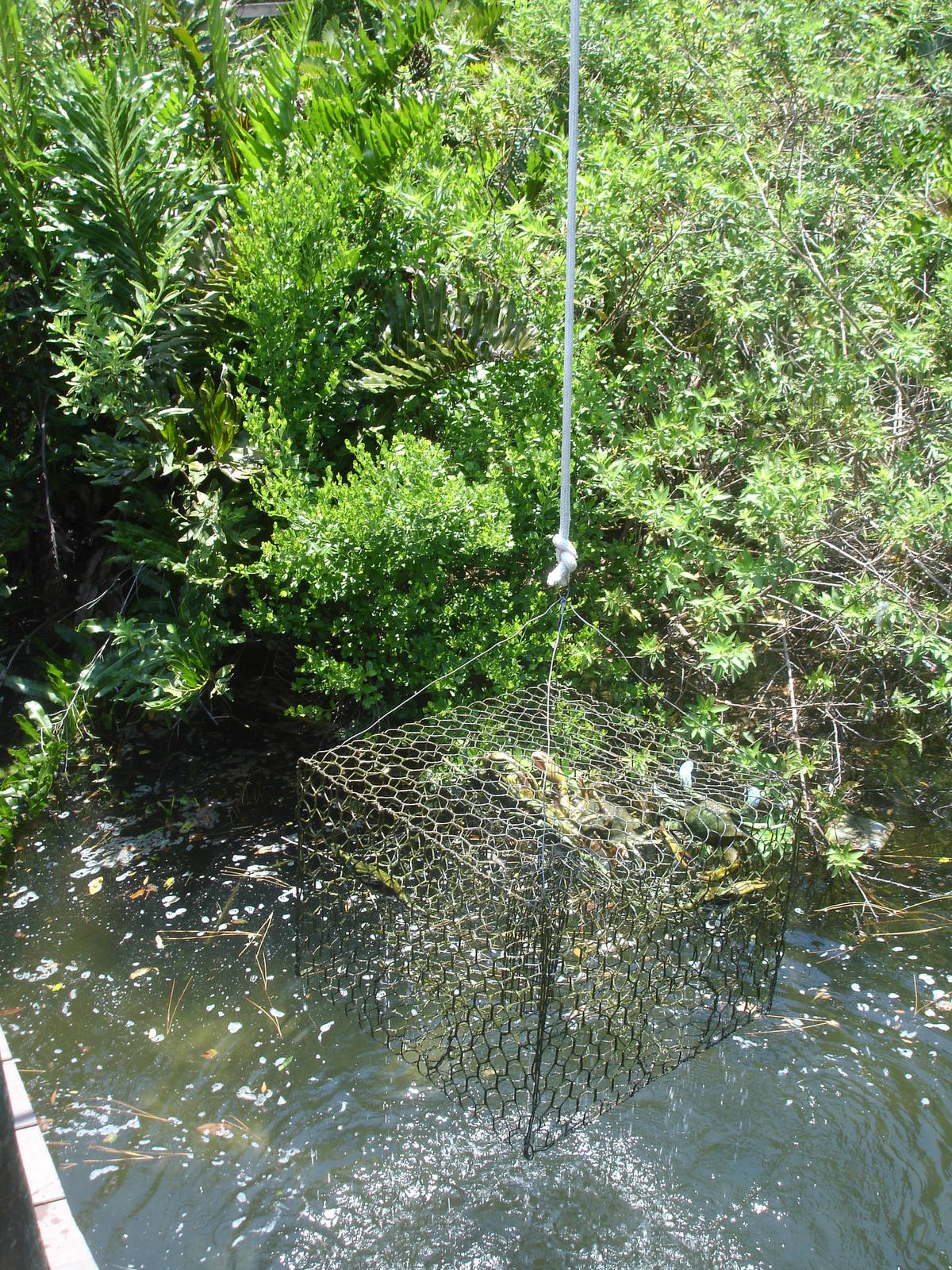 play area - pretend crab trap