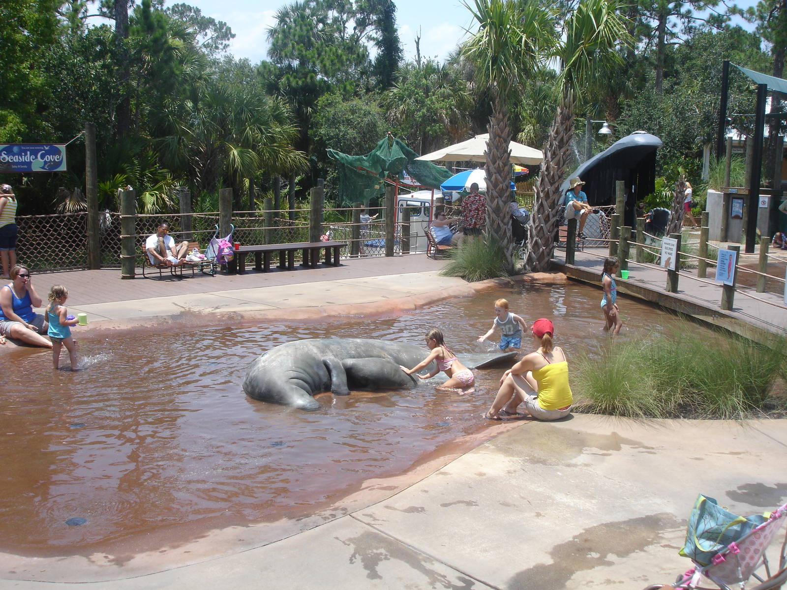 play area - swim with manatees
