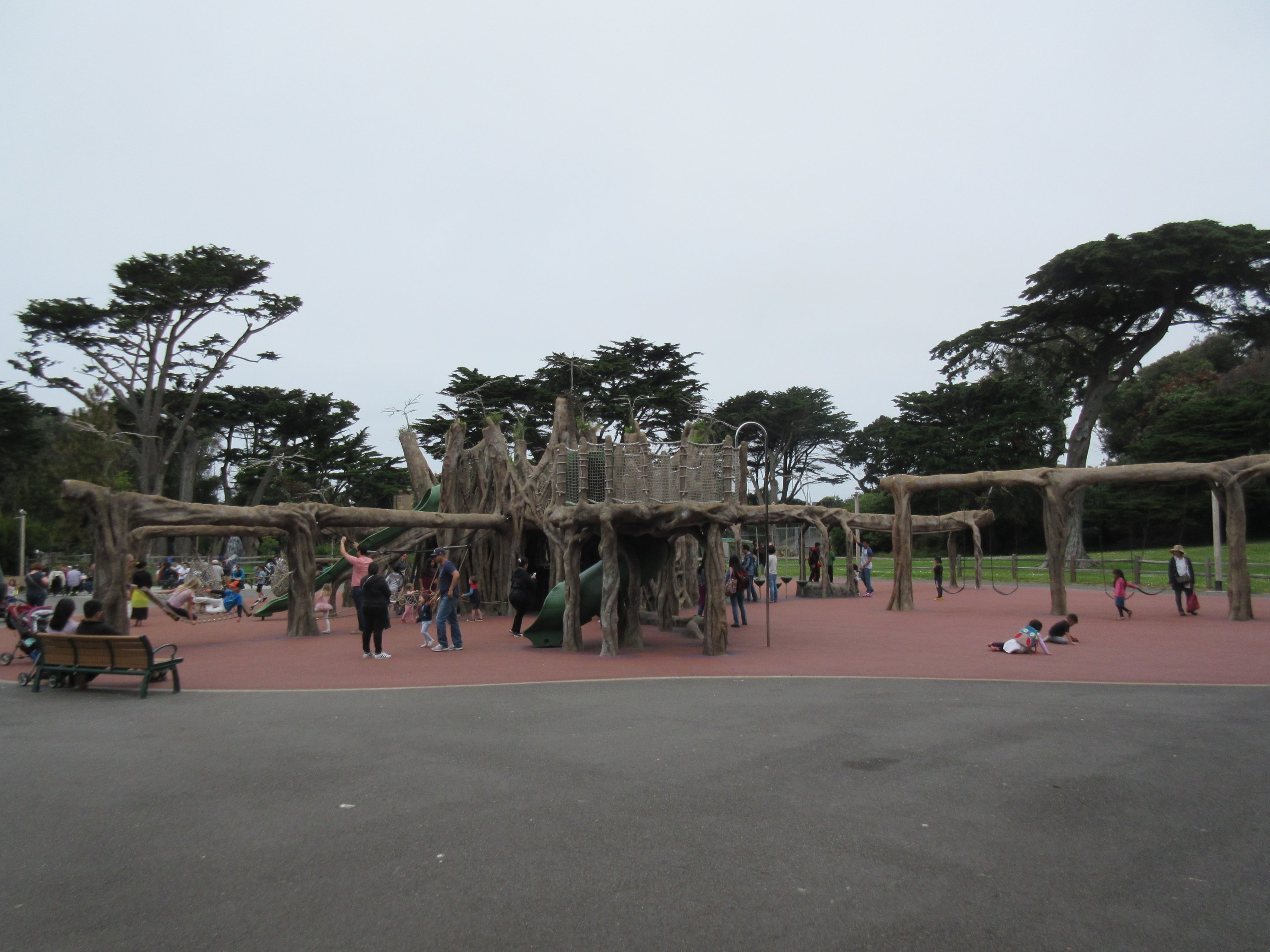 Play Area