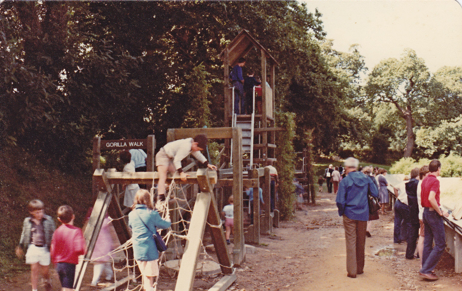 Play equipment next to the Gorillas - 1982