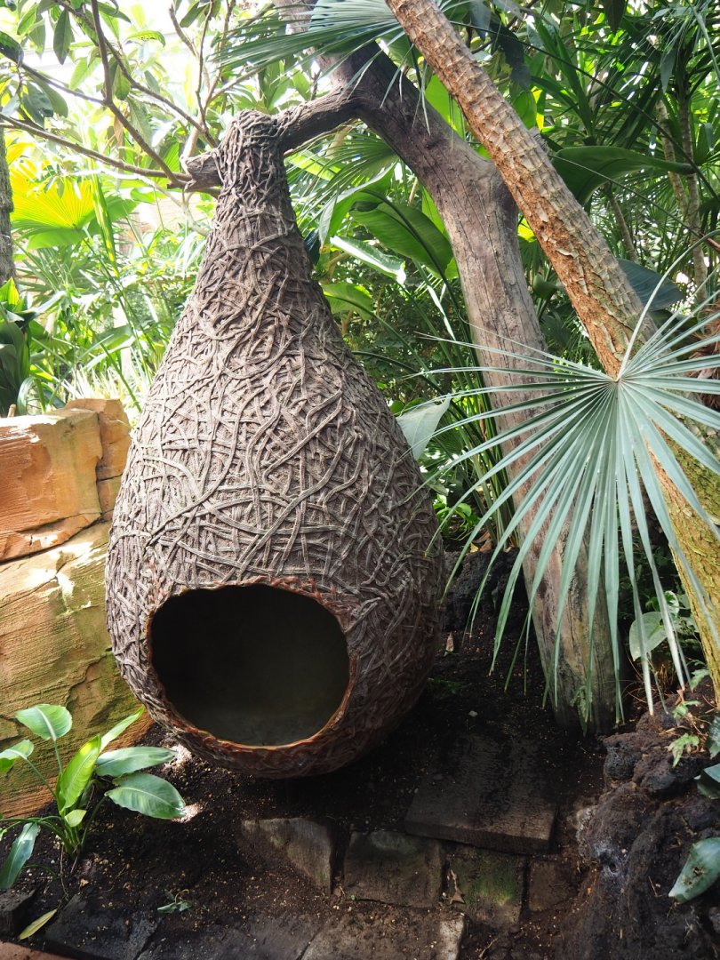 Play structure inspired by a weaver nest, 2021-09-03