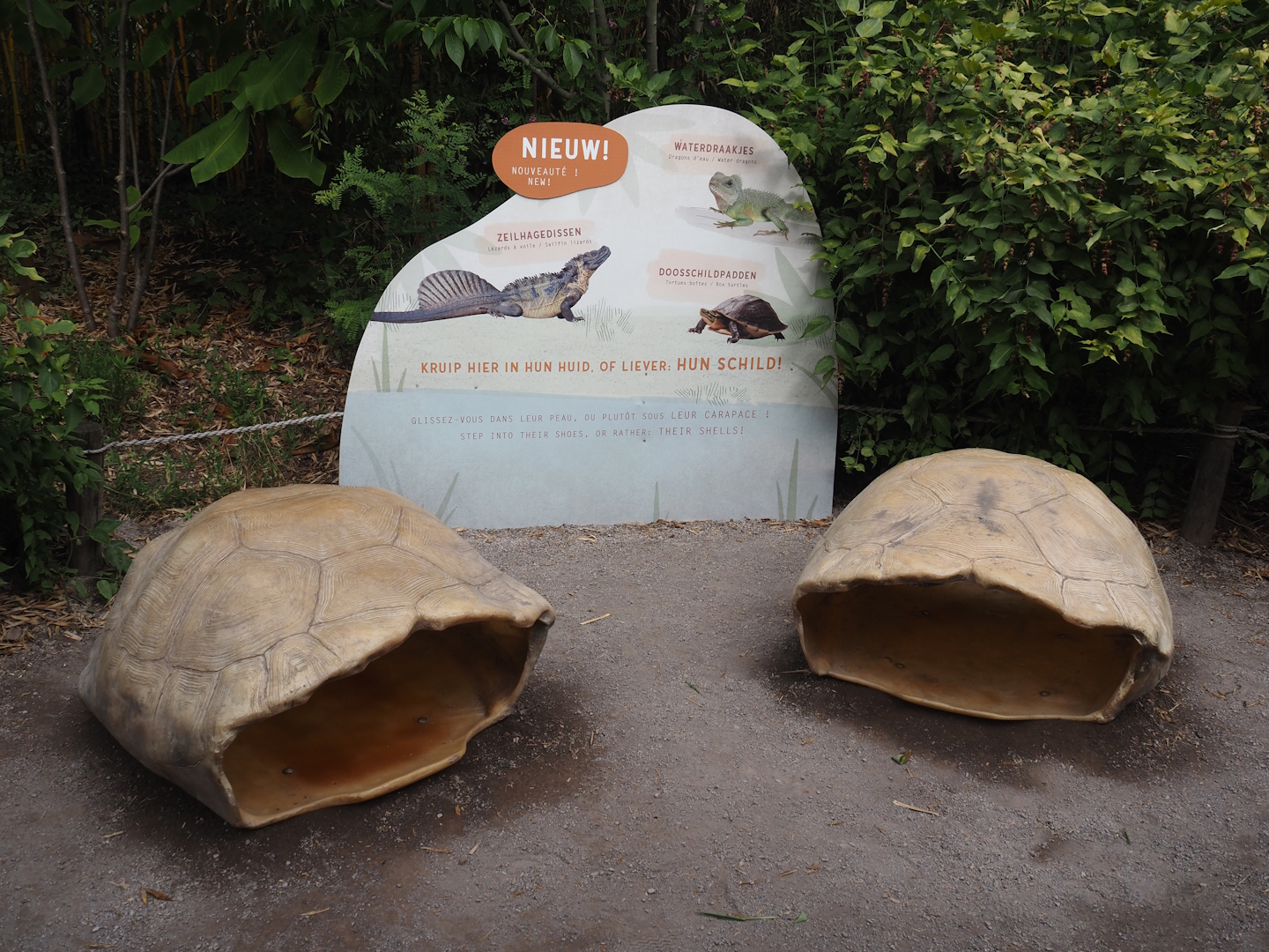 Play tortoise shells and signage for Asian mixed reptile exhibit, 2025-07-12