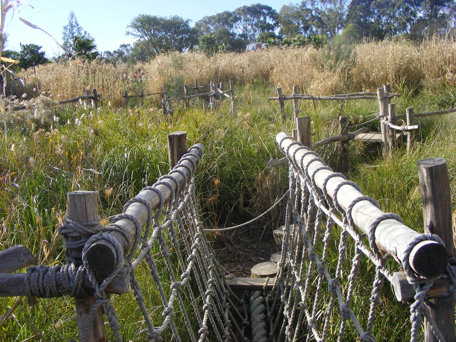 Play Trail at the Kubu River Hippos - July, 2009