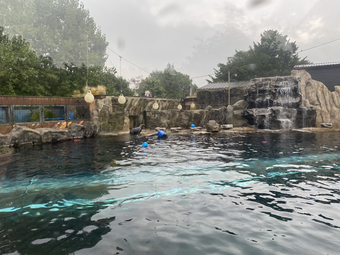 Playa Patagonia 140921