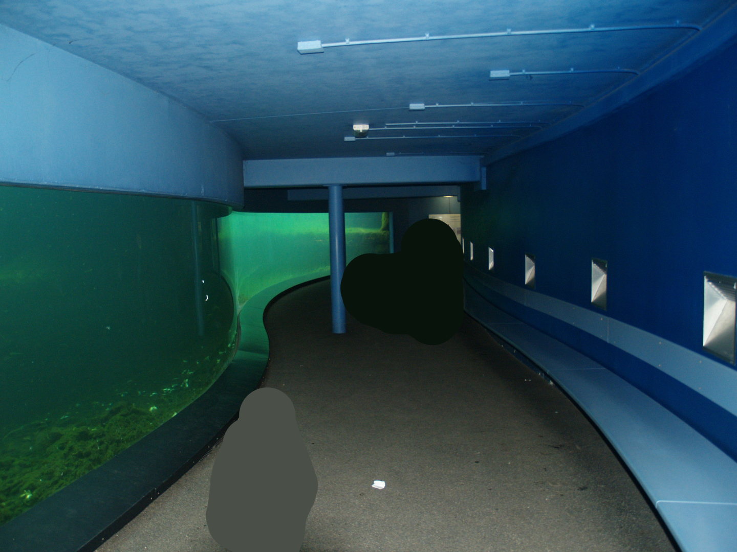 Playa Penguinos - Humboldt penguin underwater viewing area, 2008-03-01