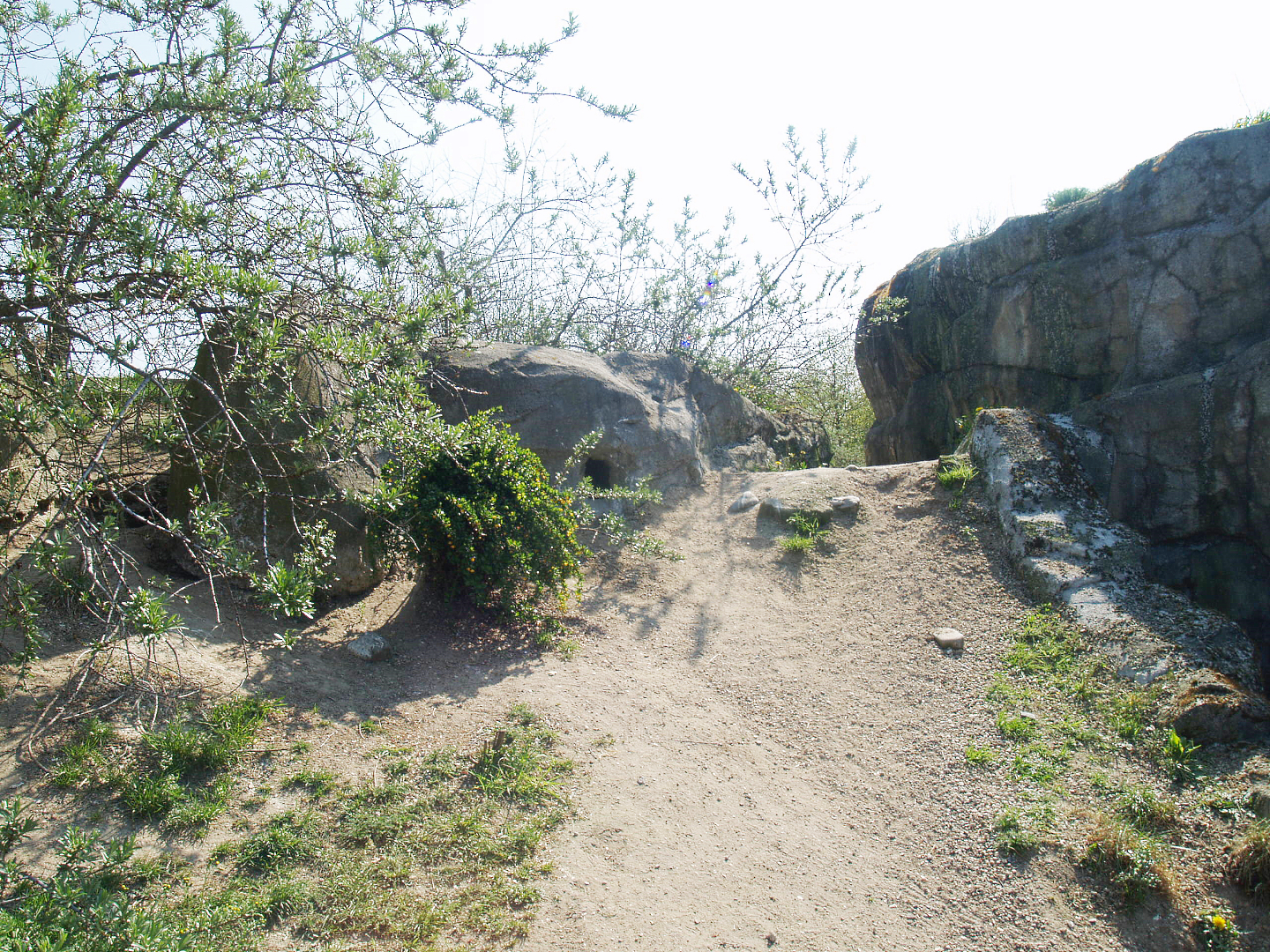 Playa Penguinos with Humboldt penguins and Steamer ducks - Beach, dunes and rocks section, 2009-04-19