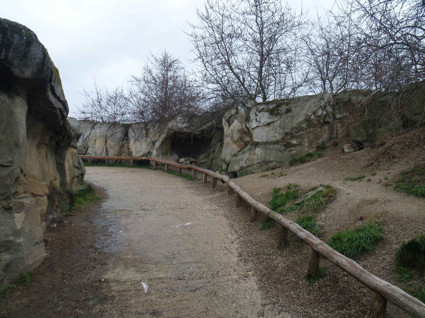 Playa Penguinos with Humboldt penguins and Steamer ducks - Walk-through beach, dunes and rocks section, 2008-03-01