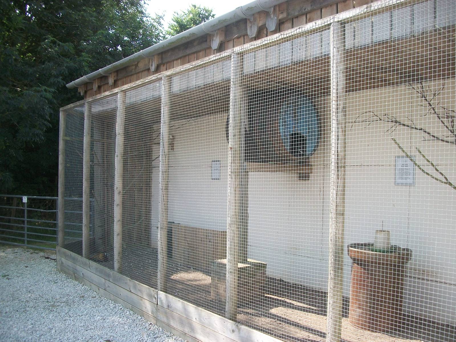 Playdale Farm Park, Scarborough, 2nd August 2013