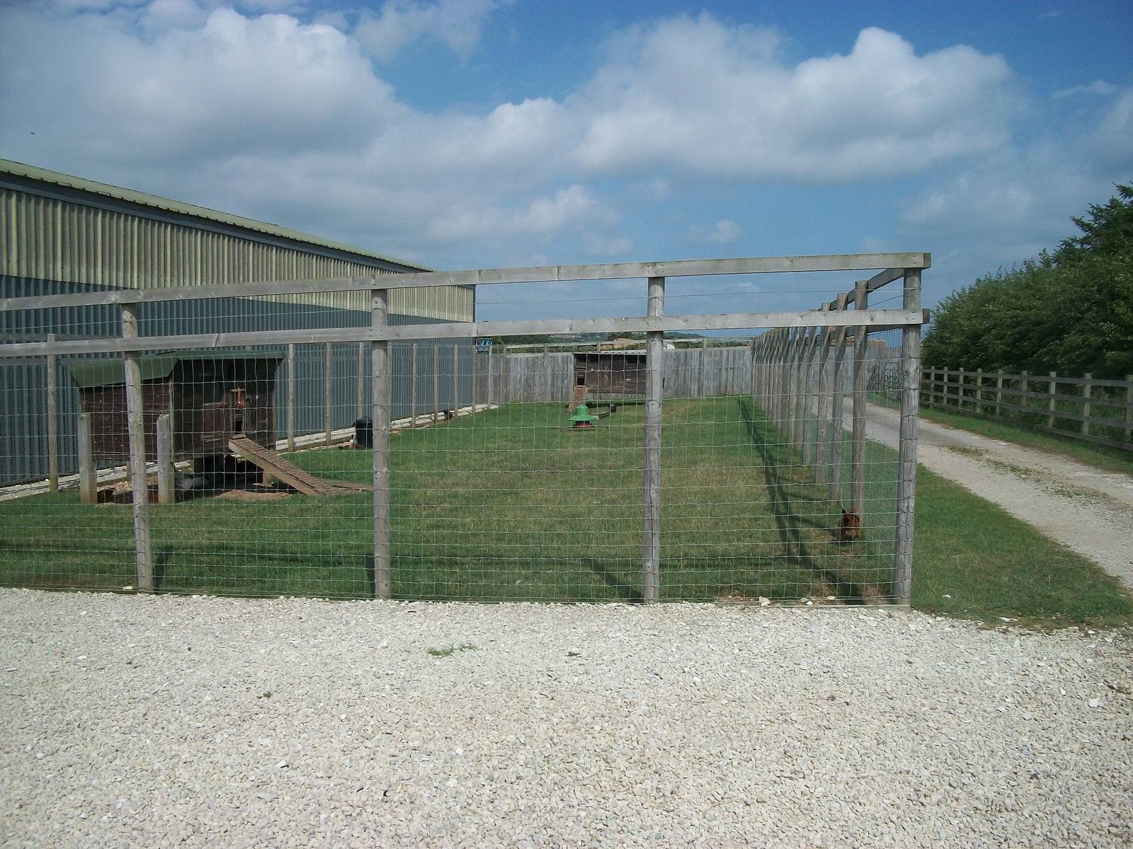 Playdale Farm Park, Scarborough, 2nd August 2013