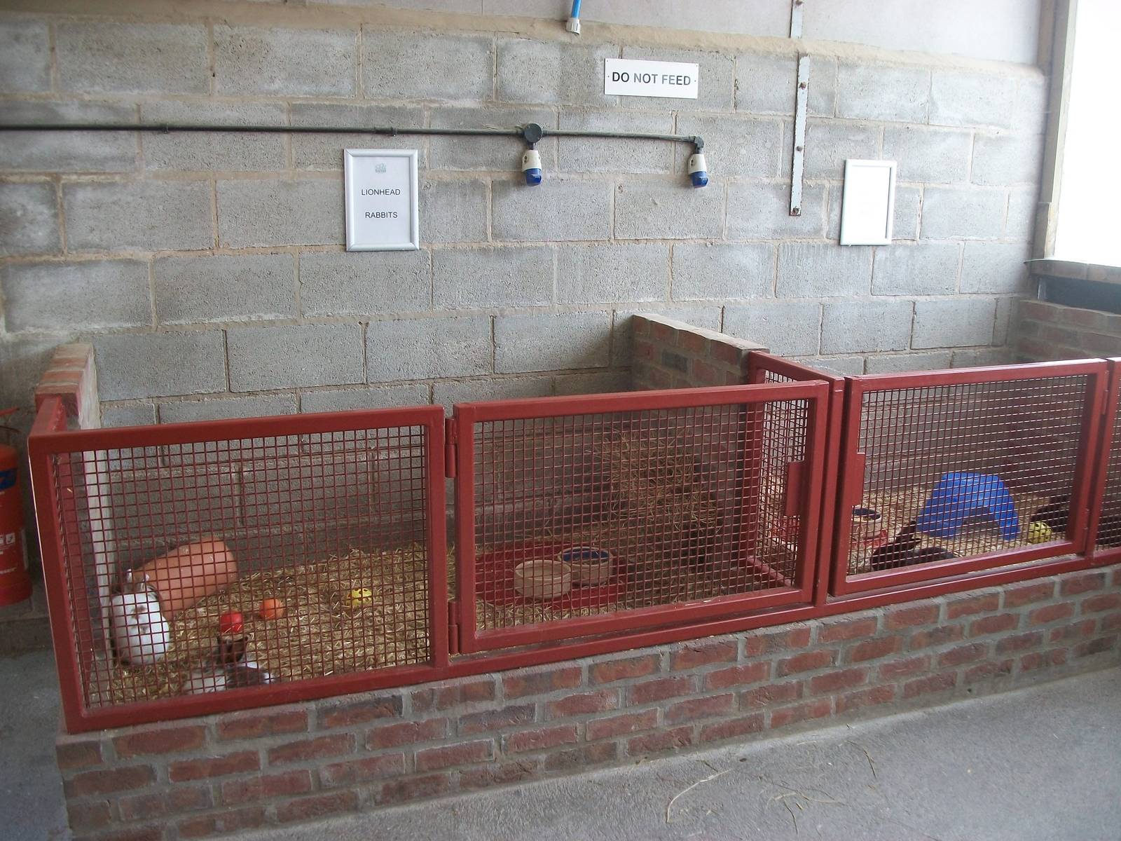 Playdale Farm Park, Scarborough, 2nd August 2013