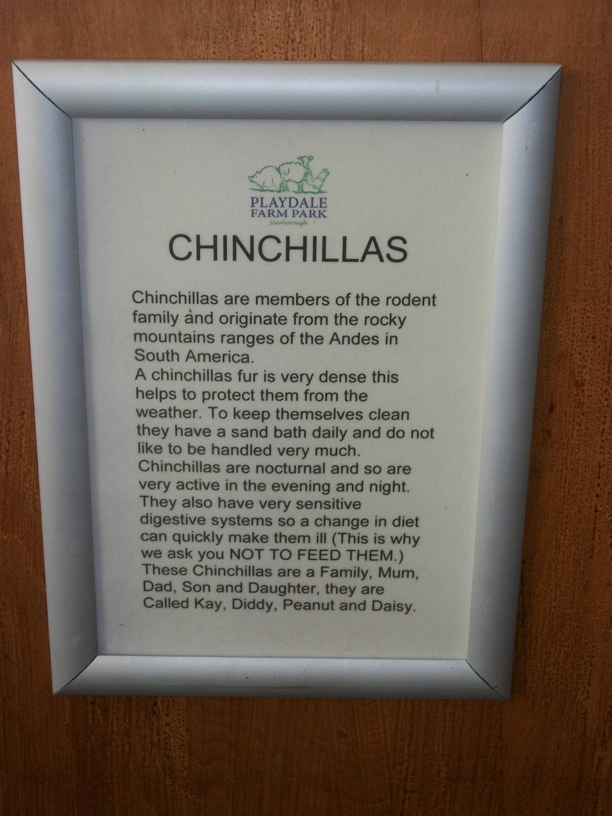 Playdale Farm Park, Scarborough, 2nd August 2013