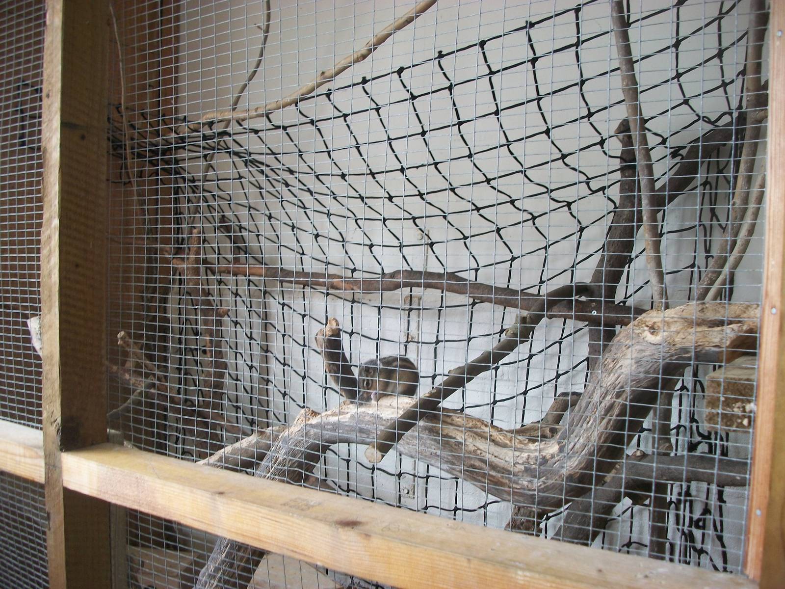 Playdale Farm Park, Scarborough, 2nd August 2013