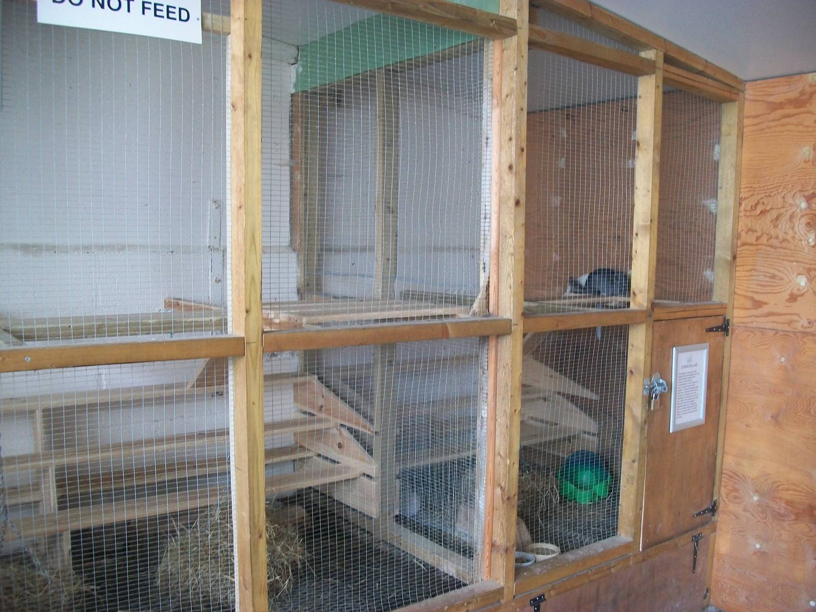 Playdale Farm Park, Scarborough, 2nd August 2013