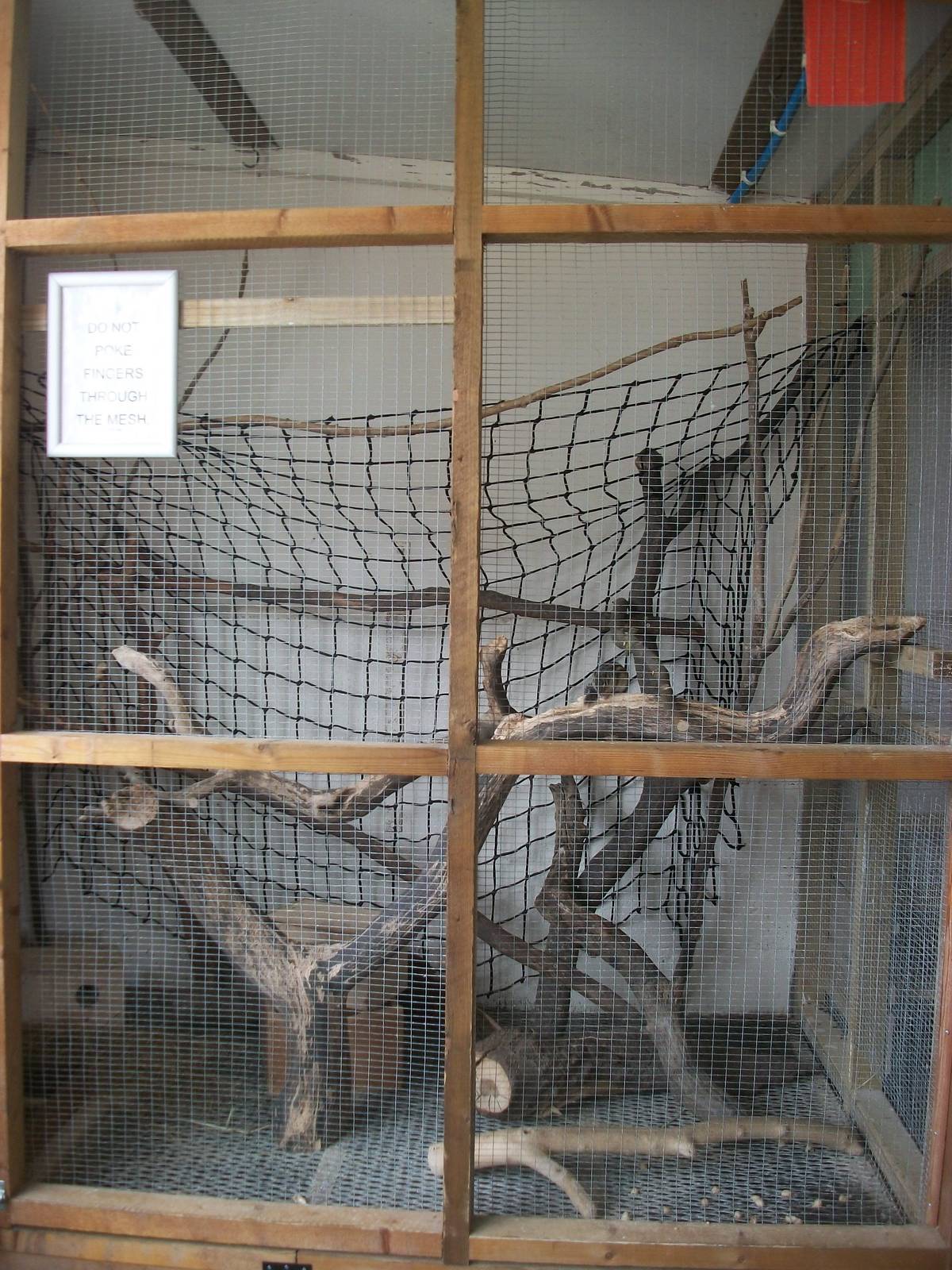 Playdale Farm Park, Scarborough, 2nd August 2013