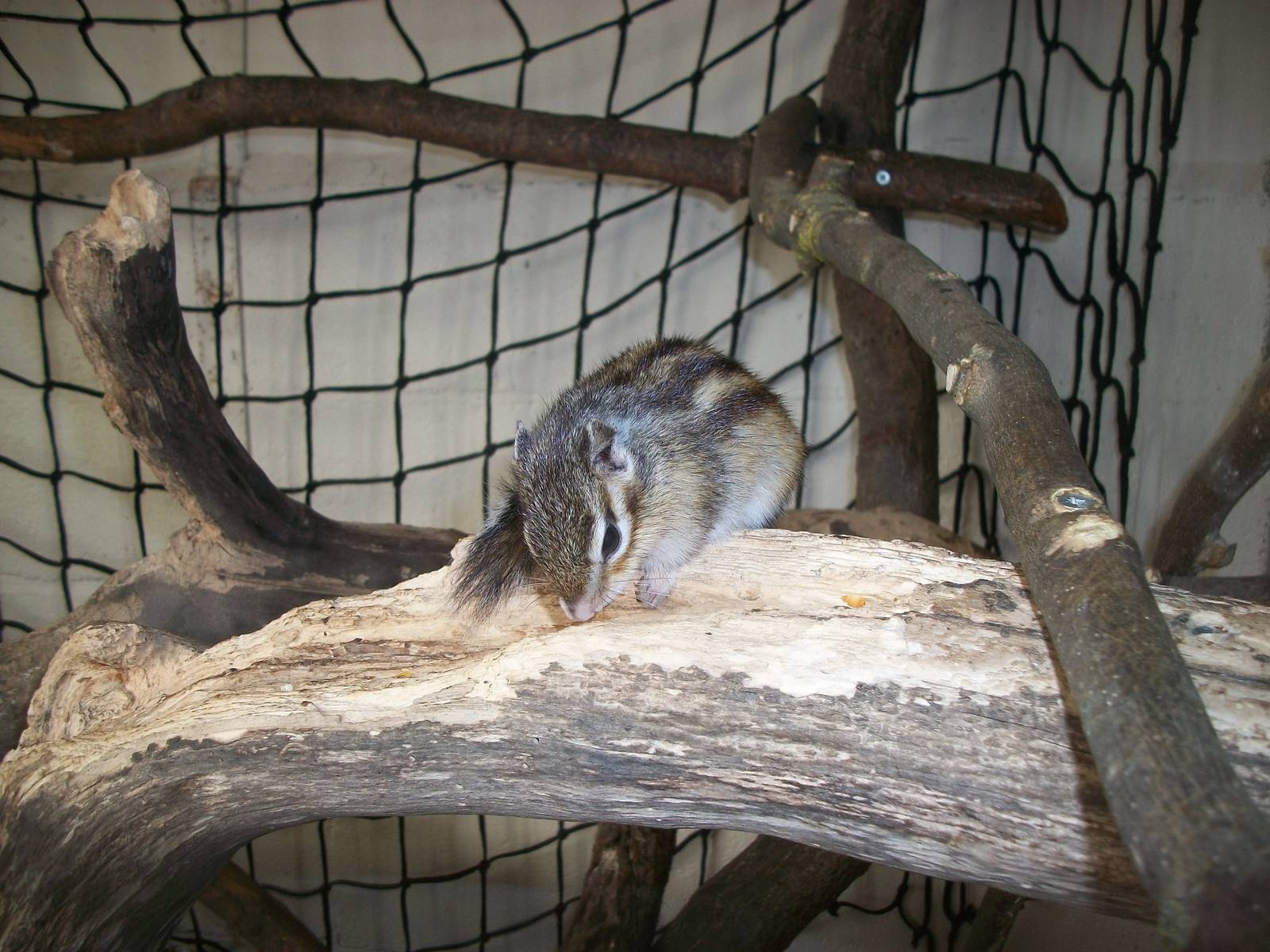 Playdale Farm Park, Scarborough, 2nd August 2013