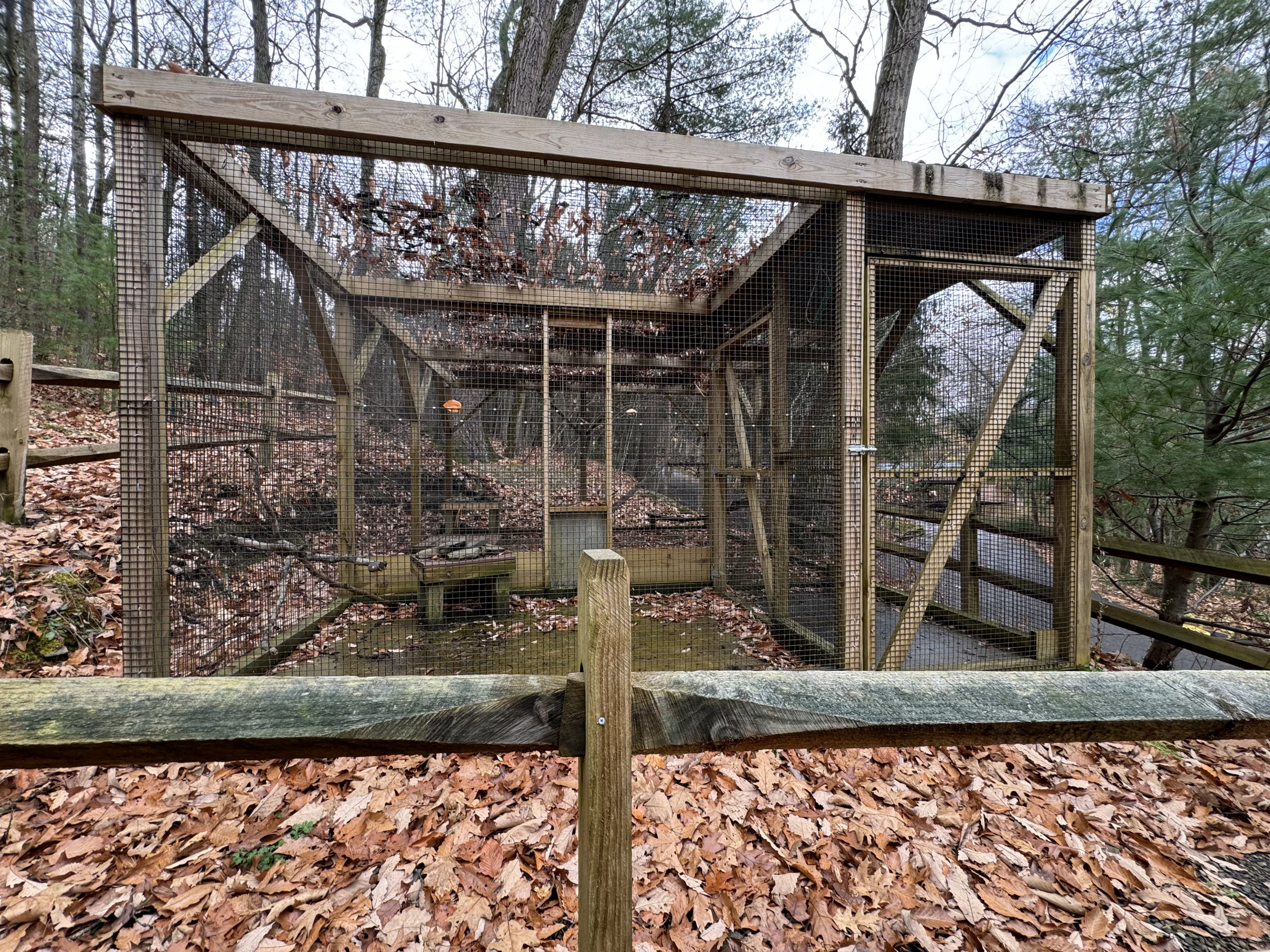 Playground area - Empty exhibit