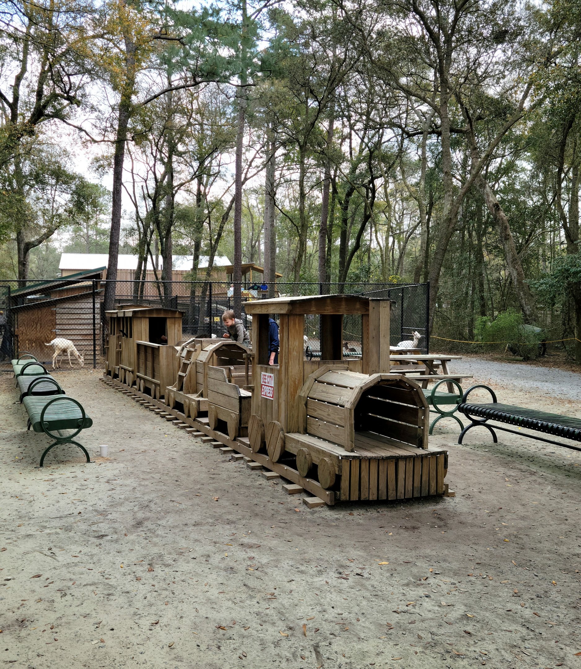 Playground Train - Bee City Zoo - March 2025