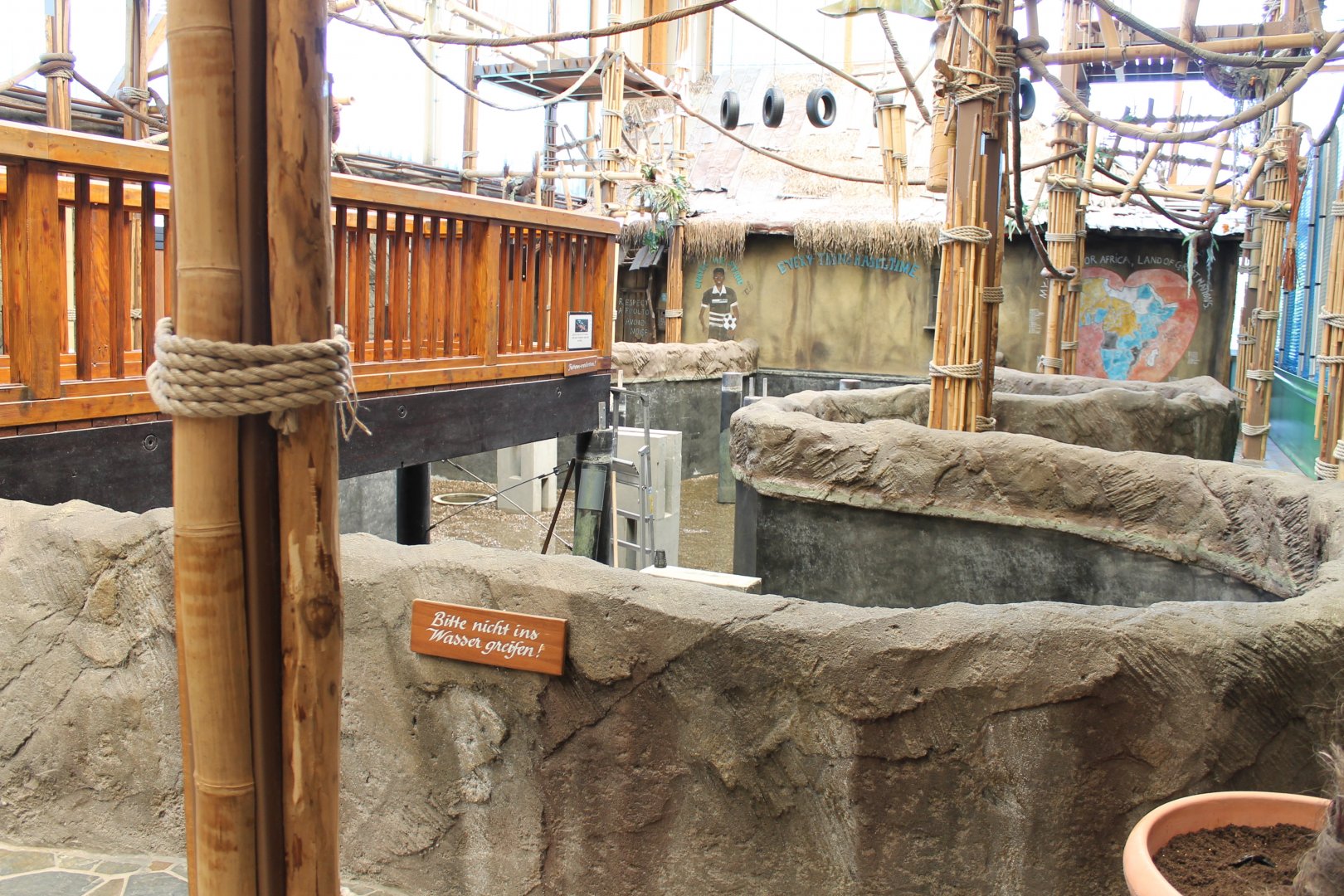 Playing ground and Guinea-pig enclosure