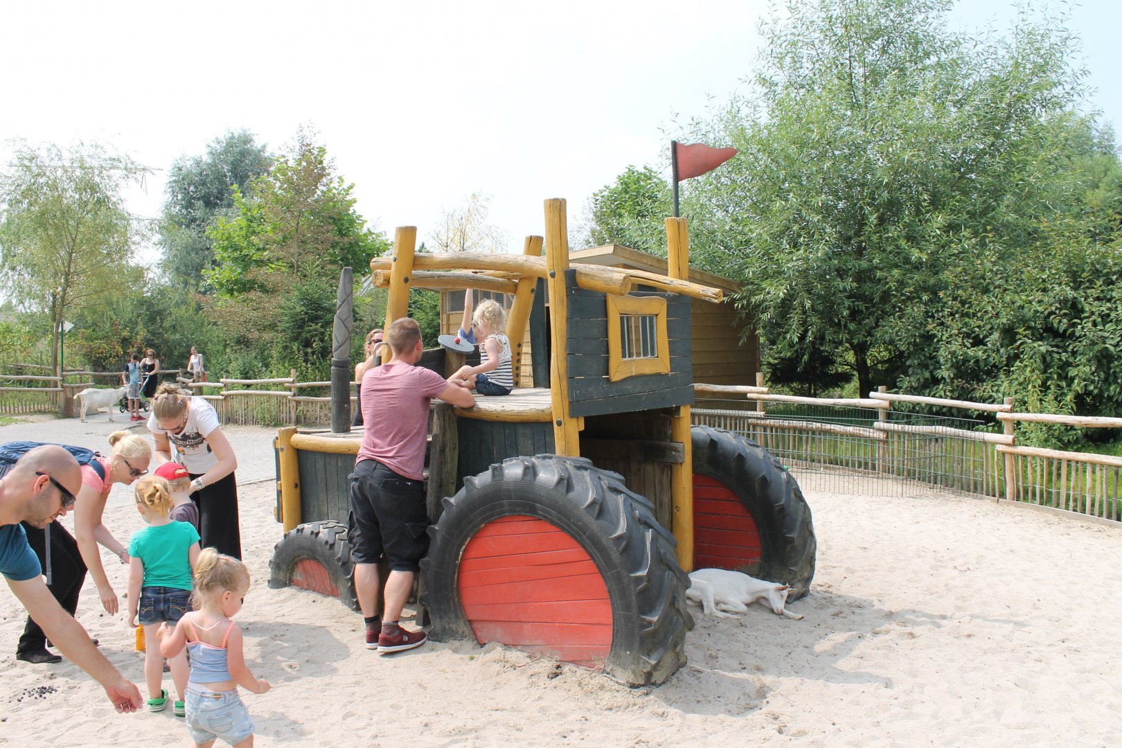 Playing Ground - Petting Zoo