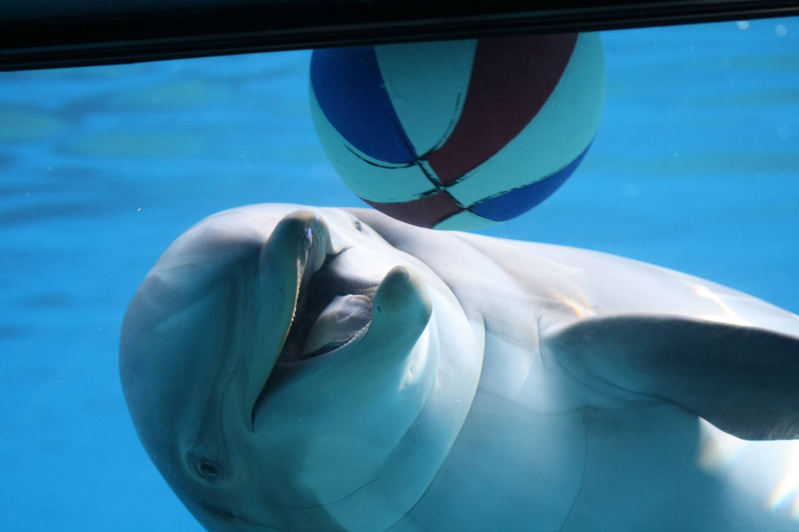 Playing with a ball.