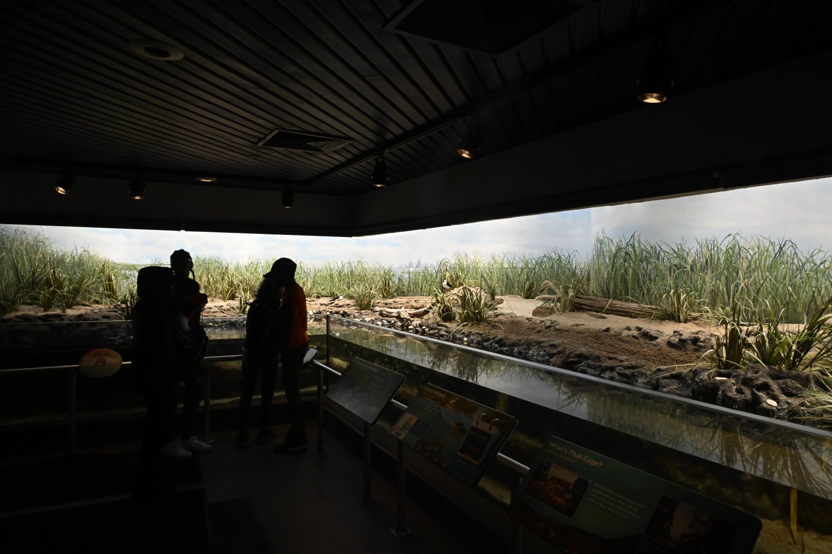 PlayQuarium - Shorebird Exhibit