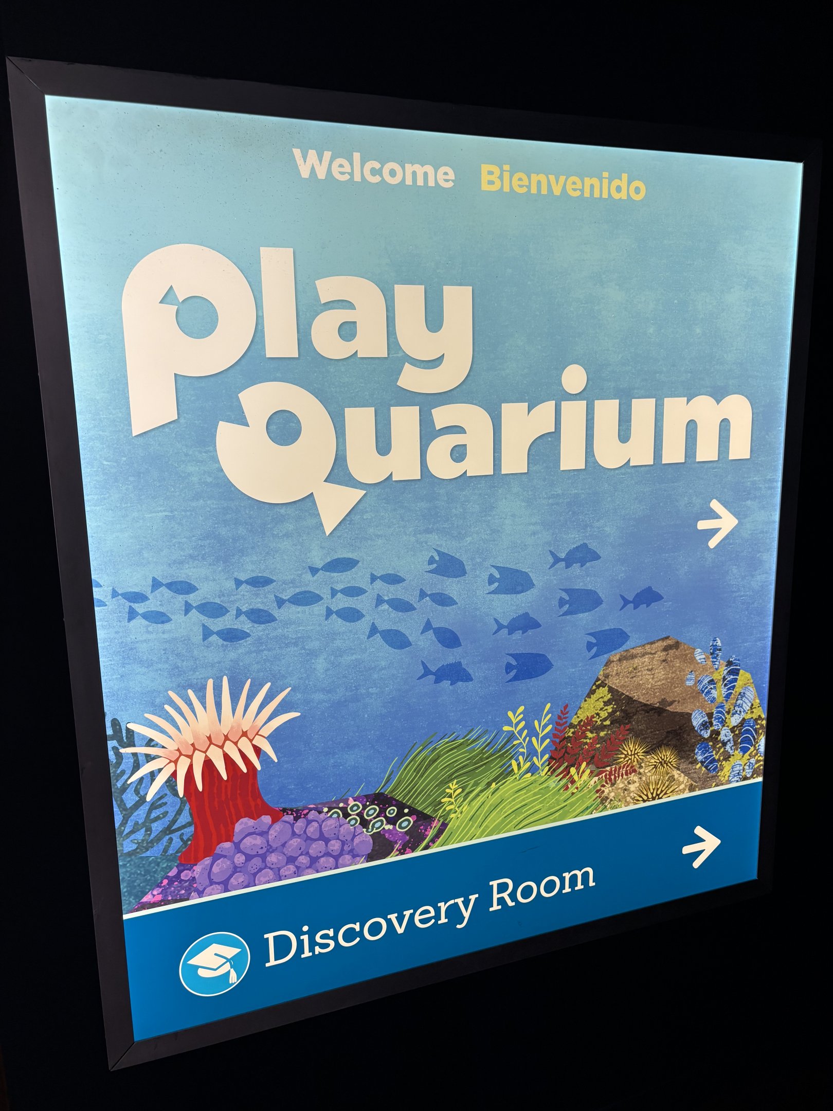 PlayQuarium