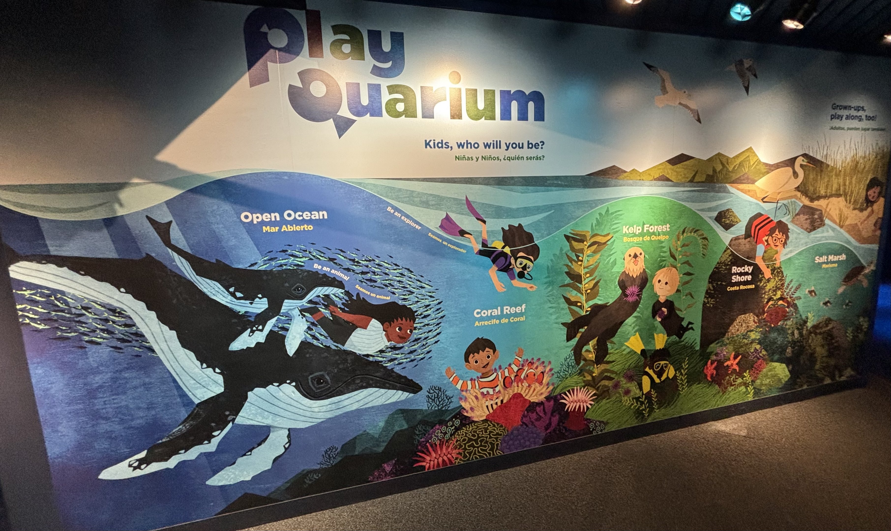 PlayQuarium