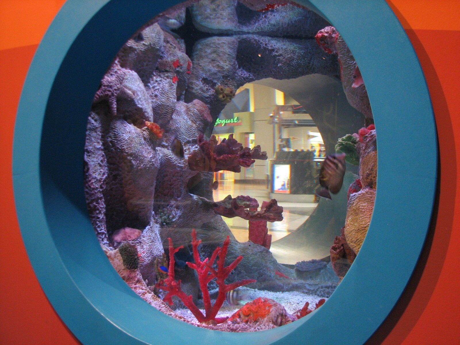 Playzone - Sergeant Major Exhibit