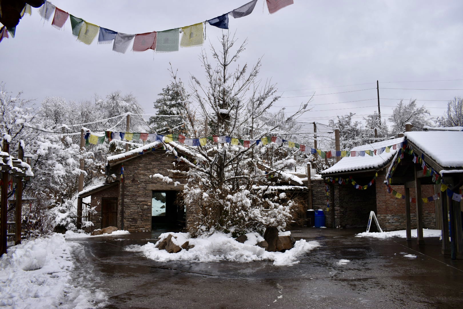 Plaza - Asian Highlands