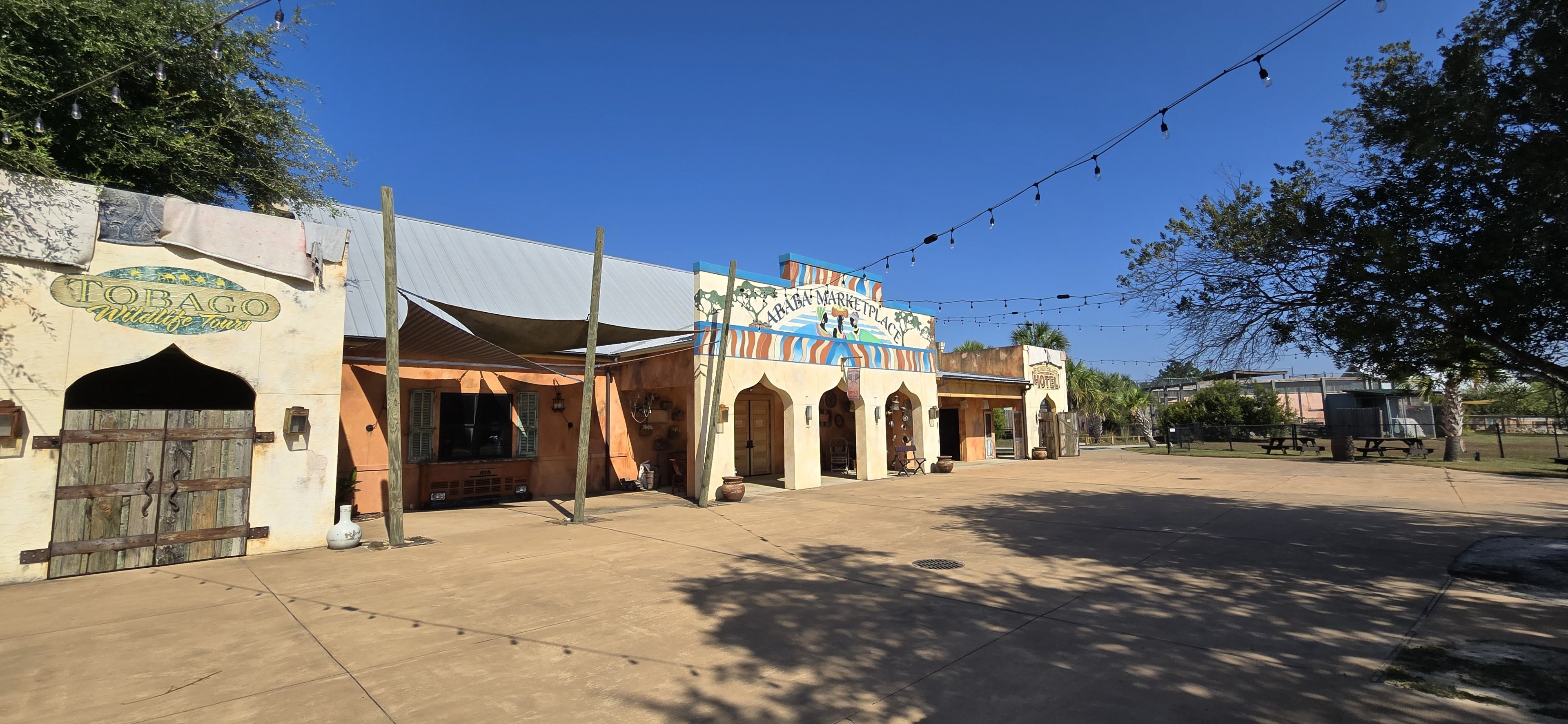 Plaza near lions and giraffe