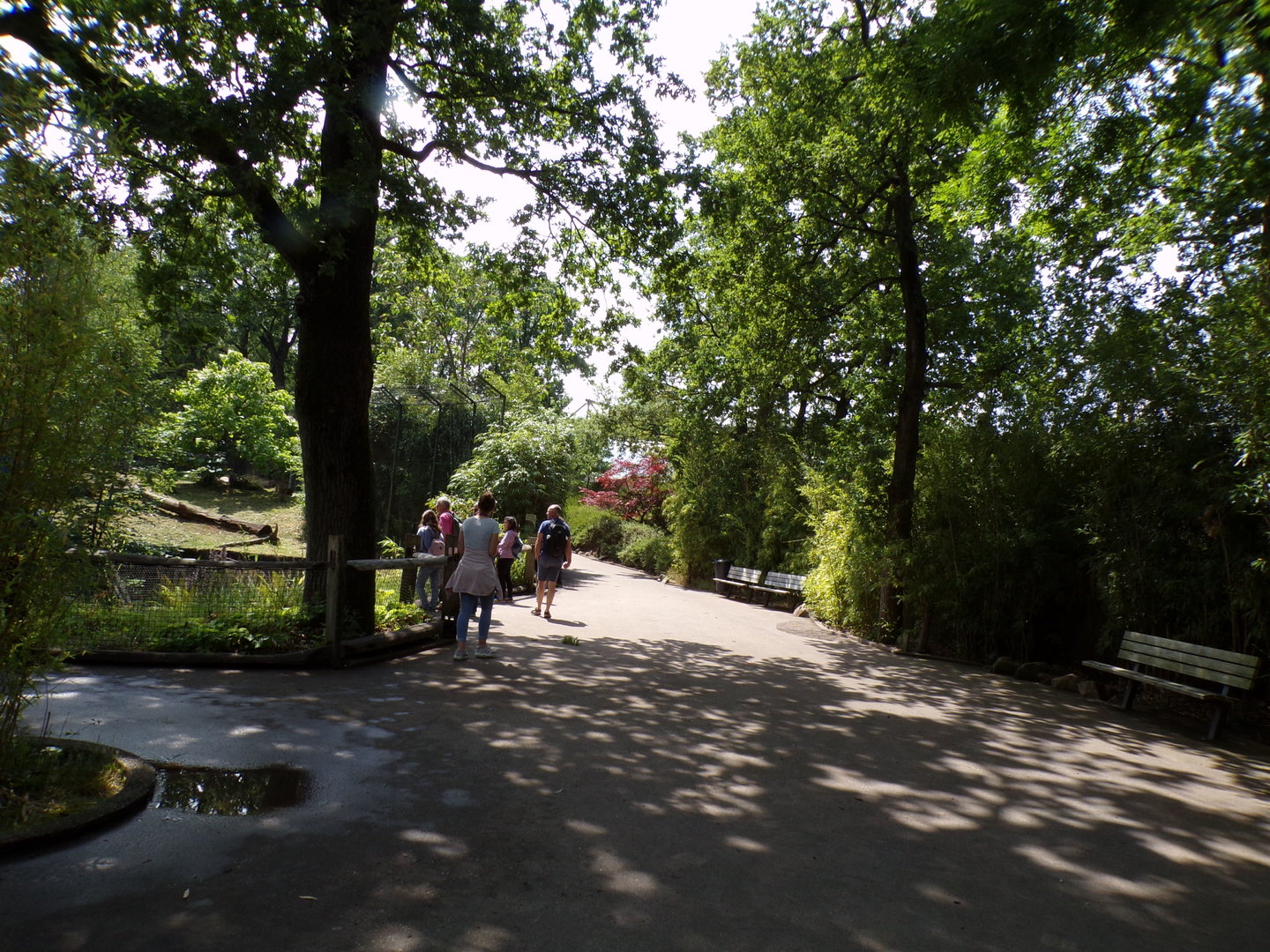 Plaza next to Sumatran tiger enclosure 6.7.23