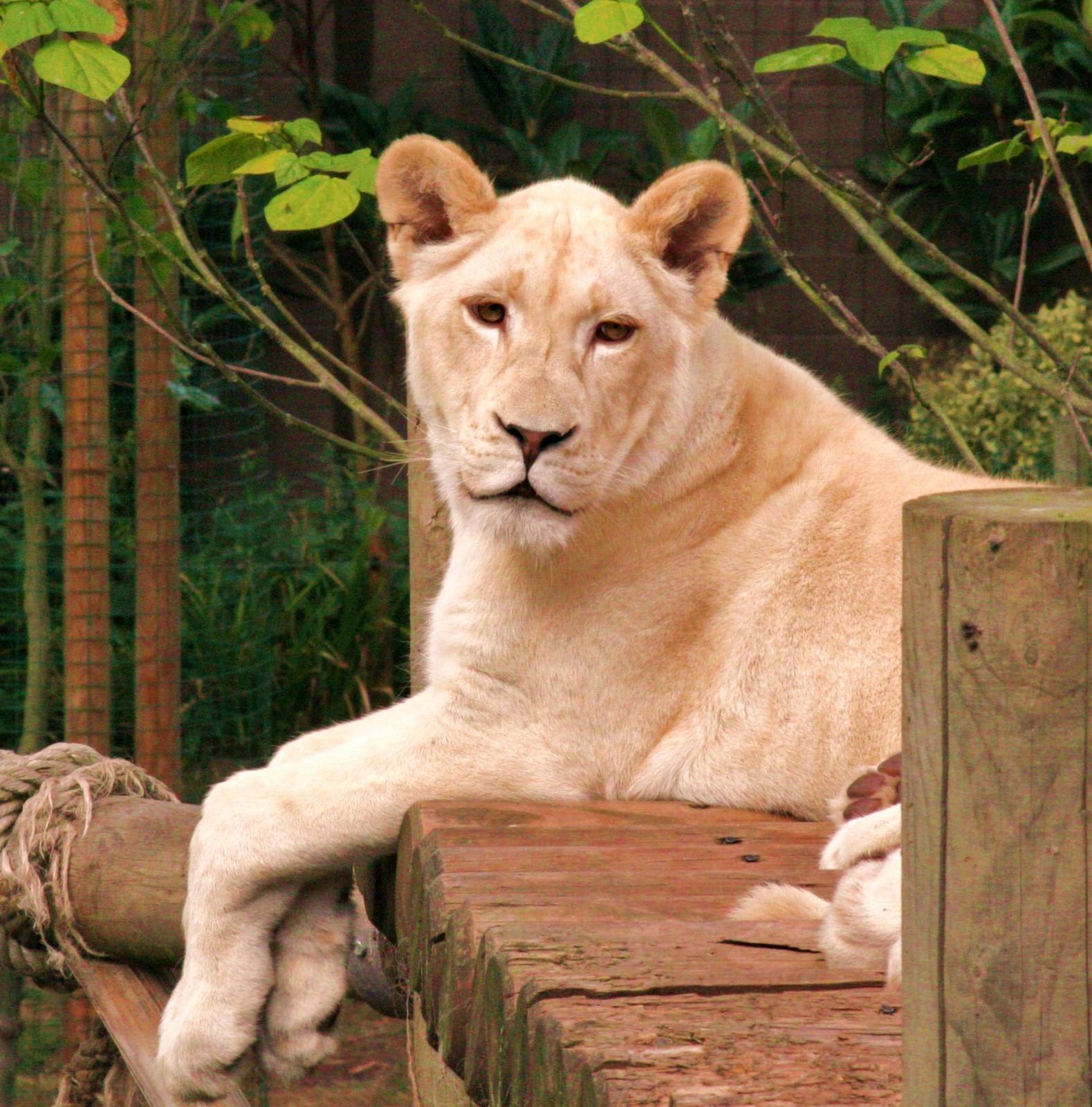 please add species and animals names if known thanks.