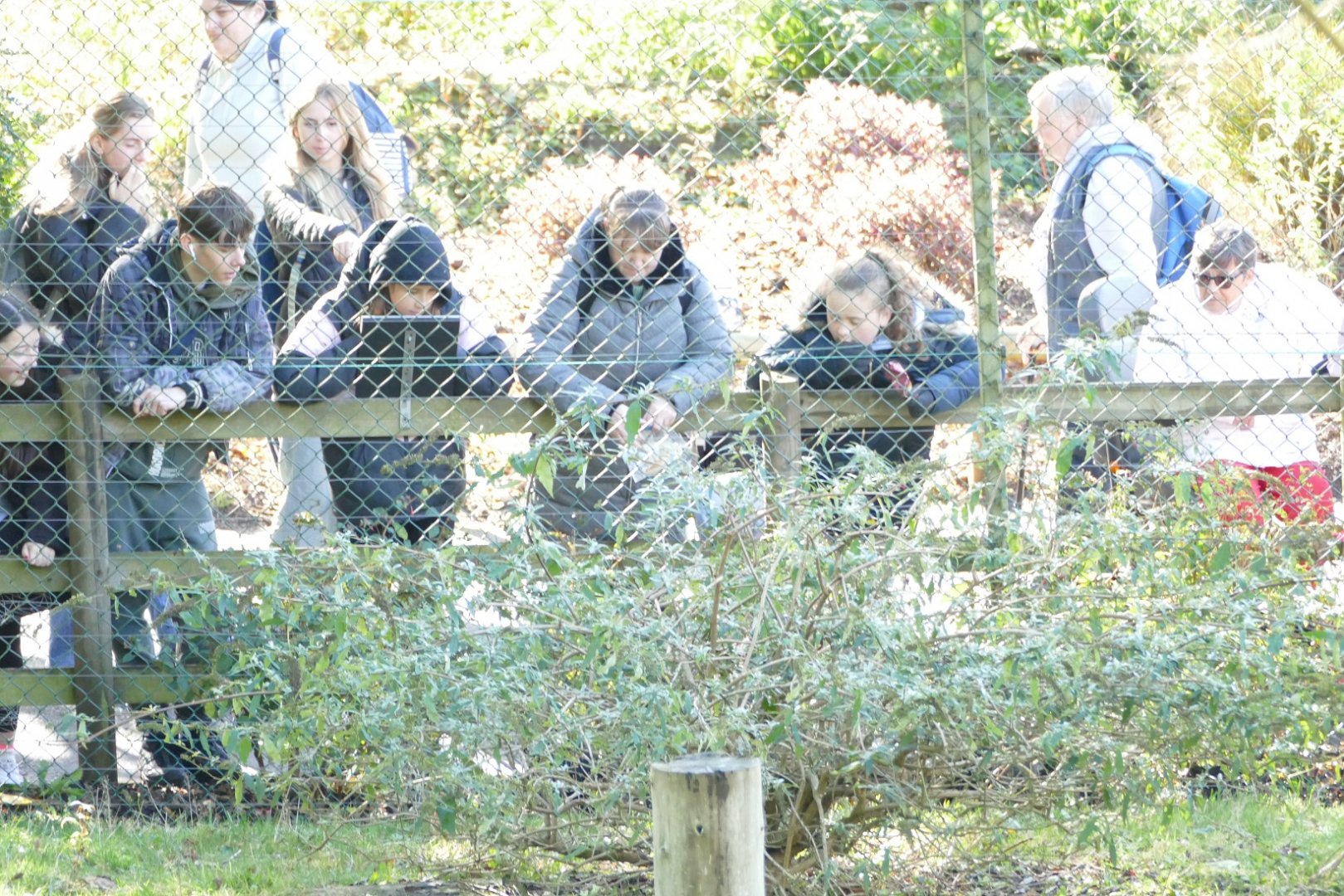Please do not feed the macaques